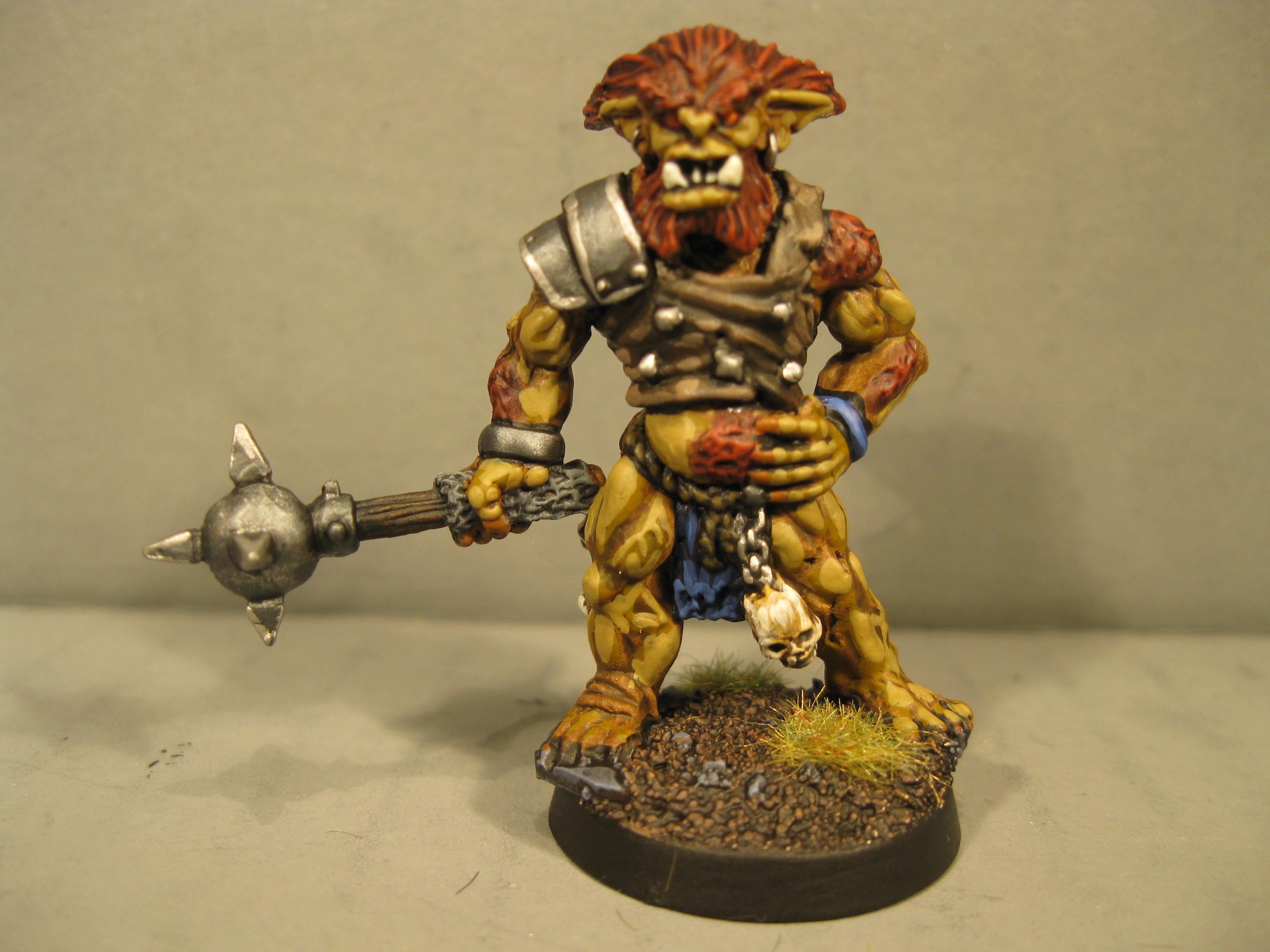 Pathfinders, Pro Painted, Reaper, Reaper Miniatures, Reaper Minis, Rpg, Warhammer Fantasy