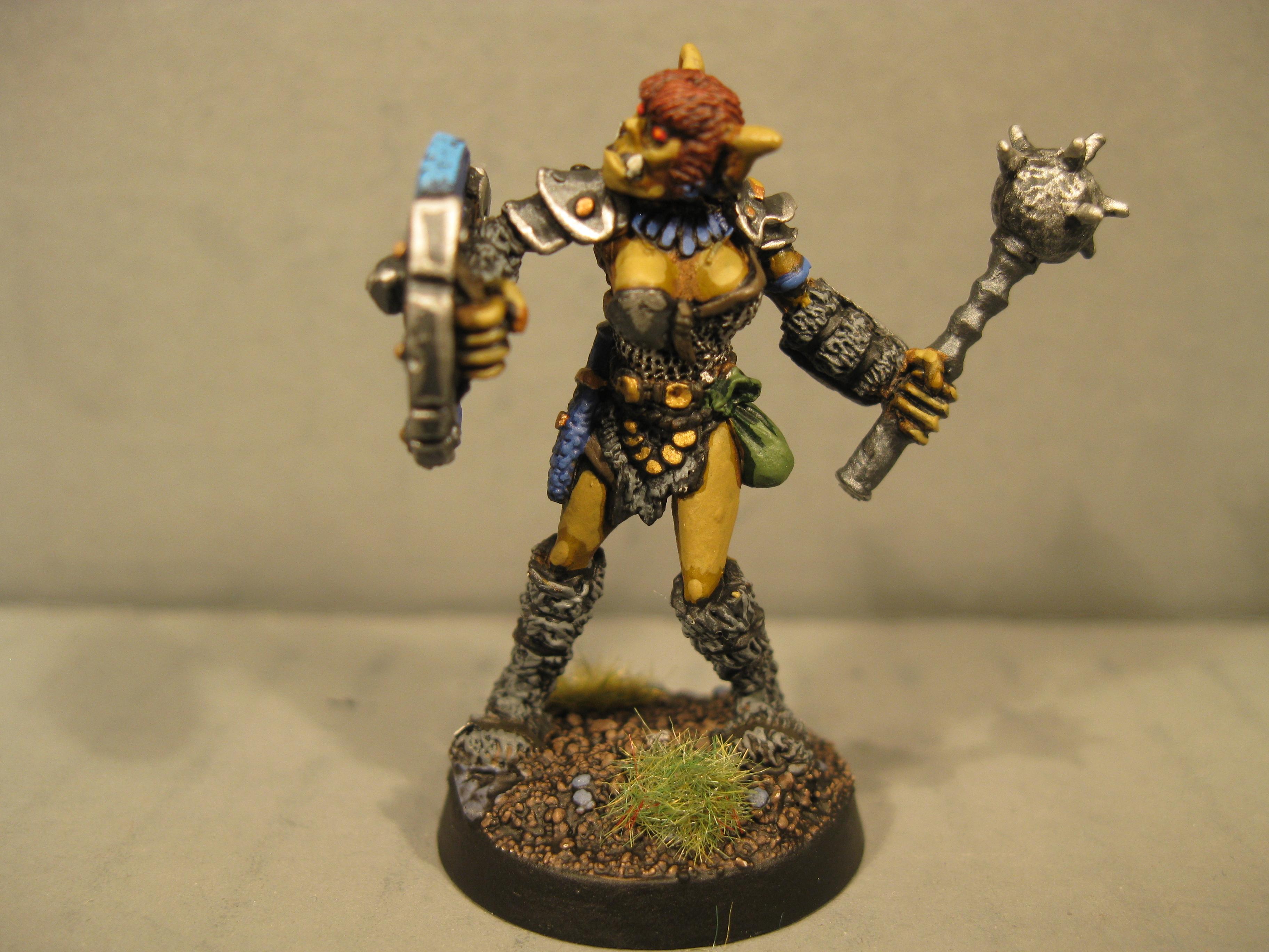 Pathfinders, Pro Painted, Reaper, Reaper Miniatures, Reaper Minis, Rpg, Warhammer Fantasy