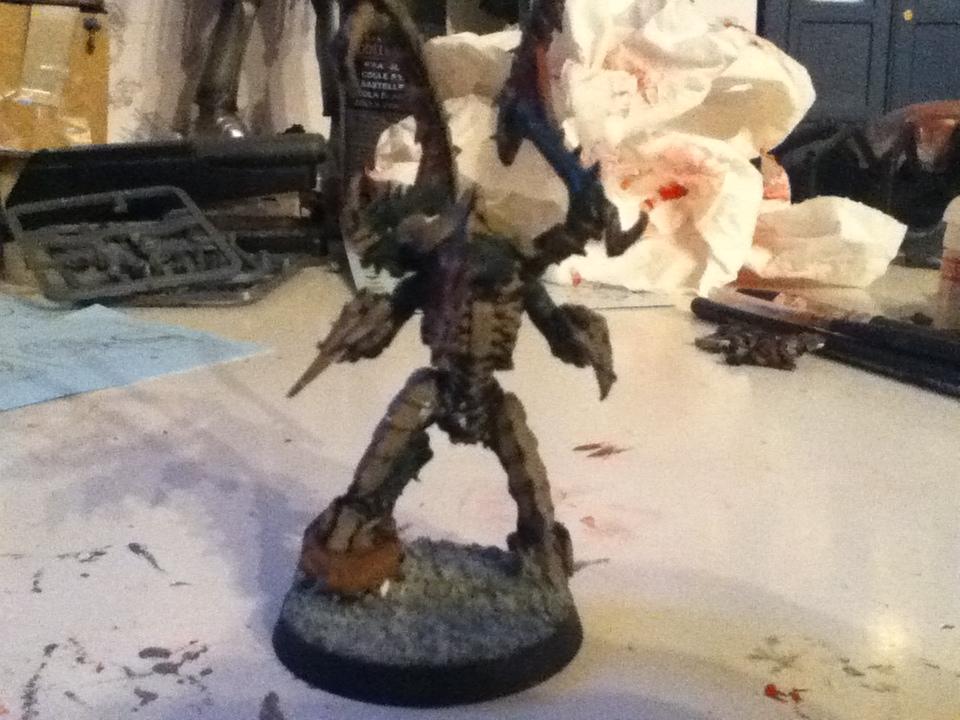  my lictor