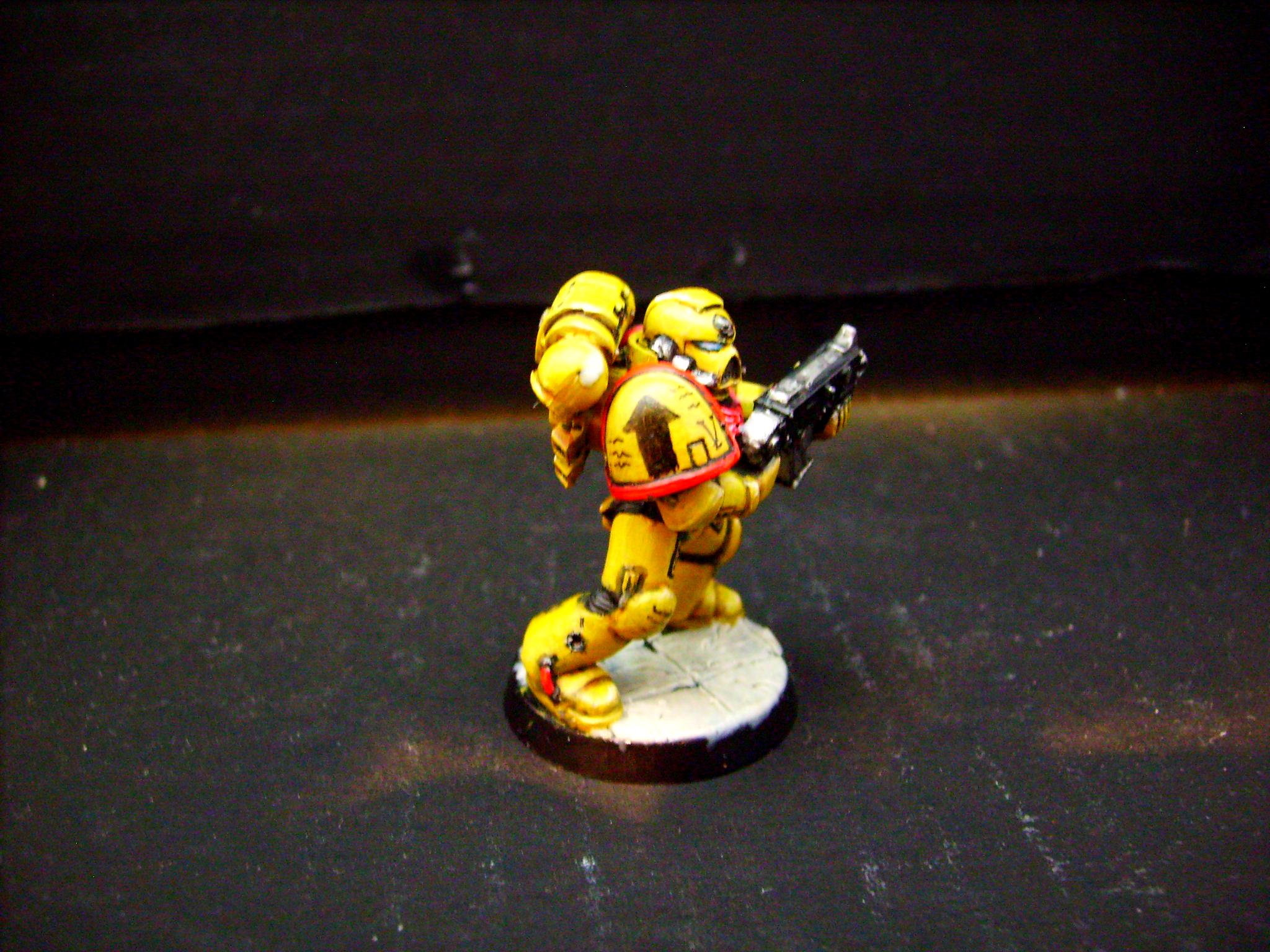 Imperial Fists, Space Marines