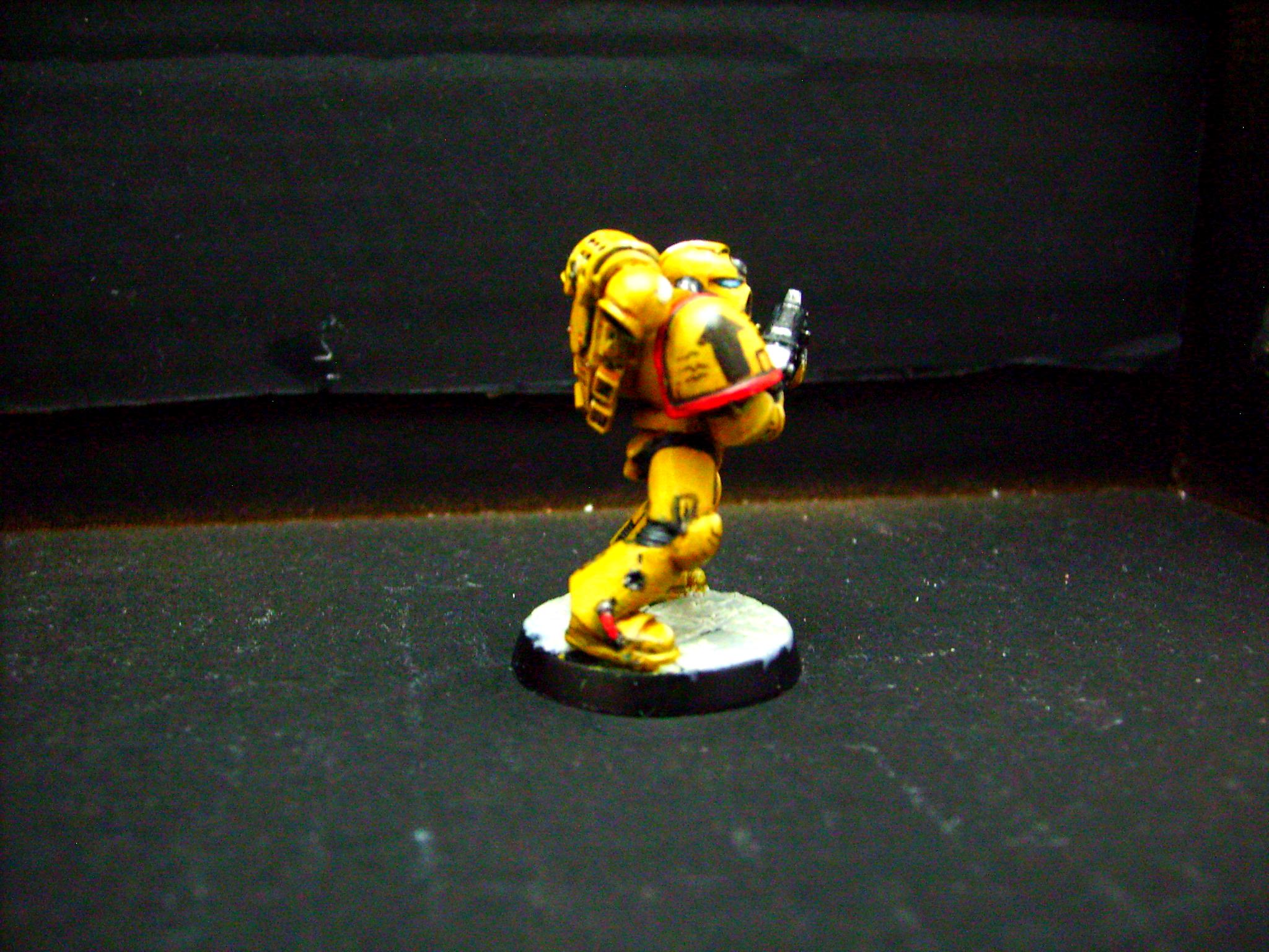 Imperial Fists, Space Marines
