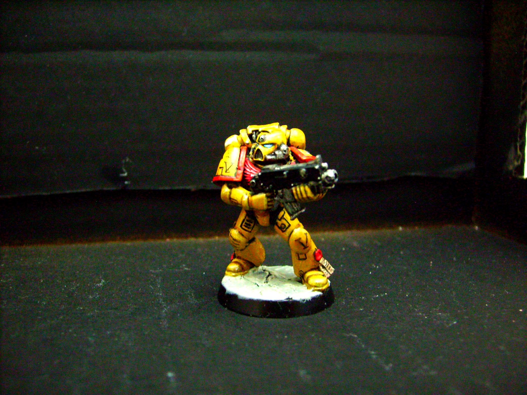Imperial Fist