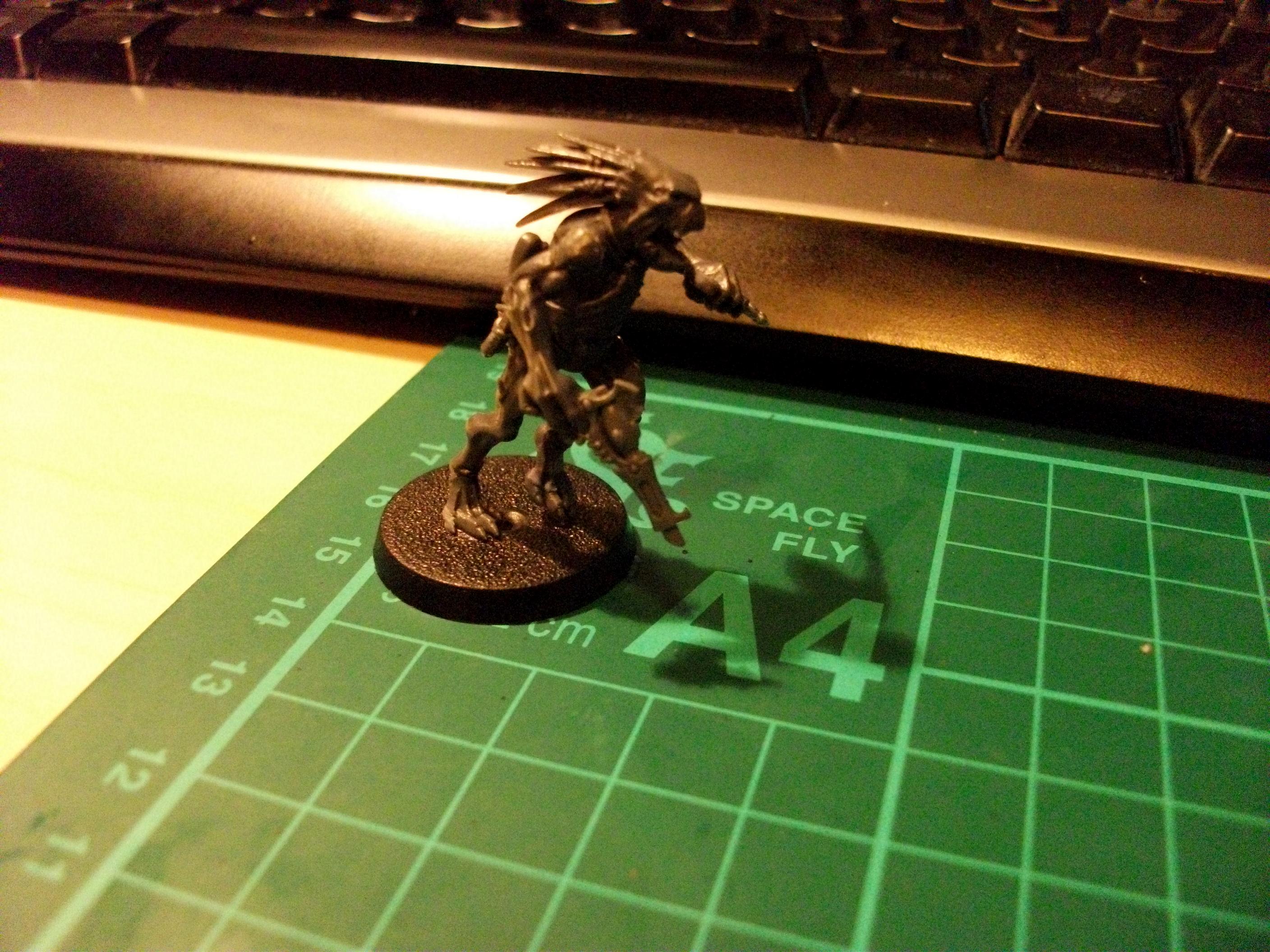 Custom, Dark Eldar, Kroot, Work In Progress, Wych