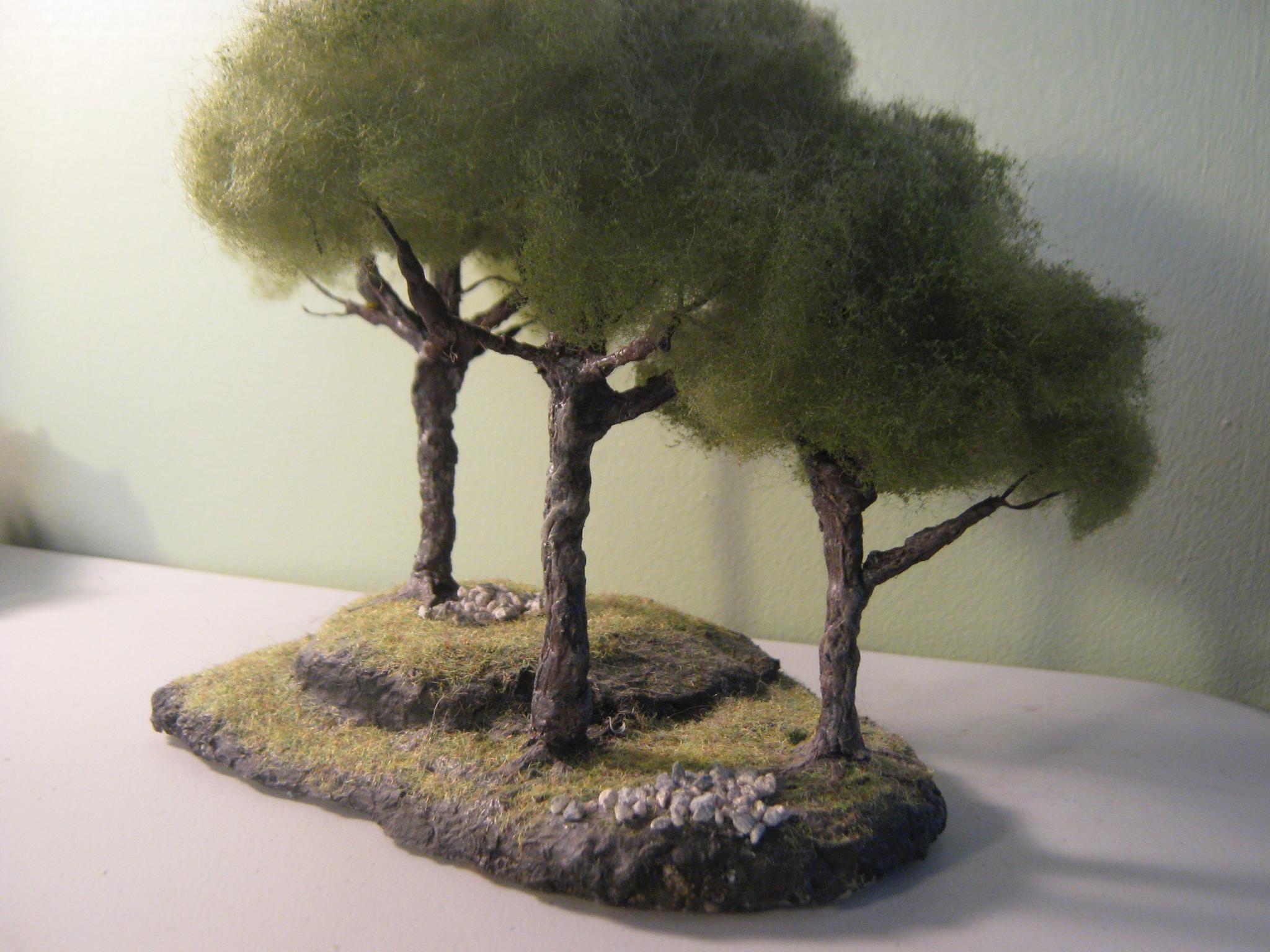 Cover, Forest, Terrain, Trees