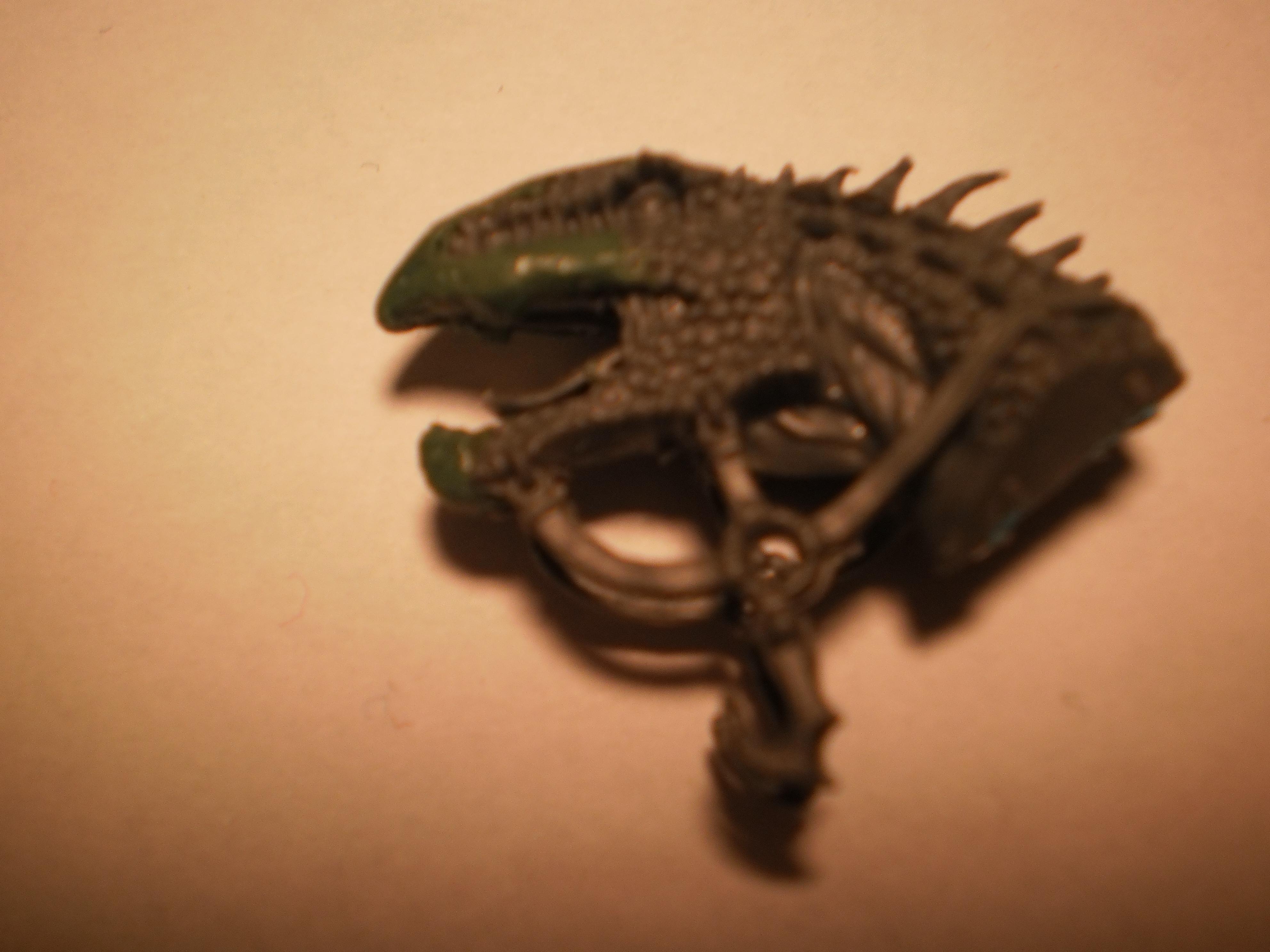 Kroot, Kroot Lizard