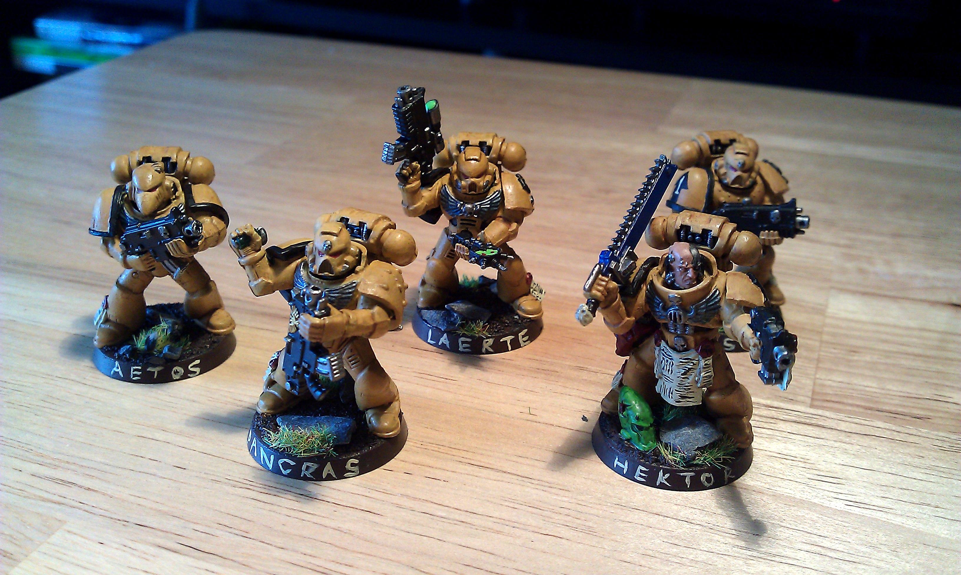 Fists, Imperial Fists, Space Marines, Tactical Squad