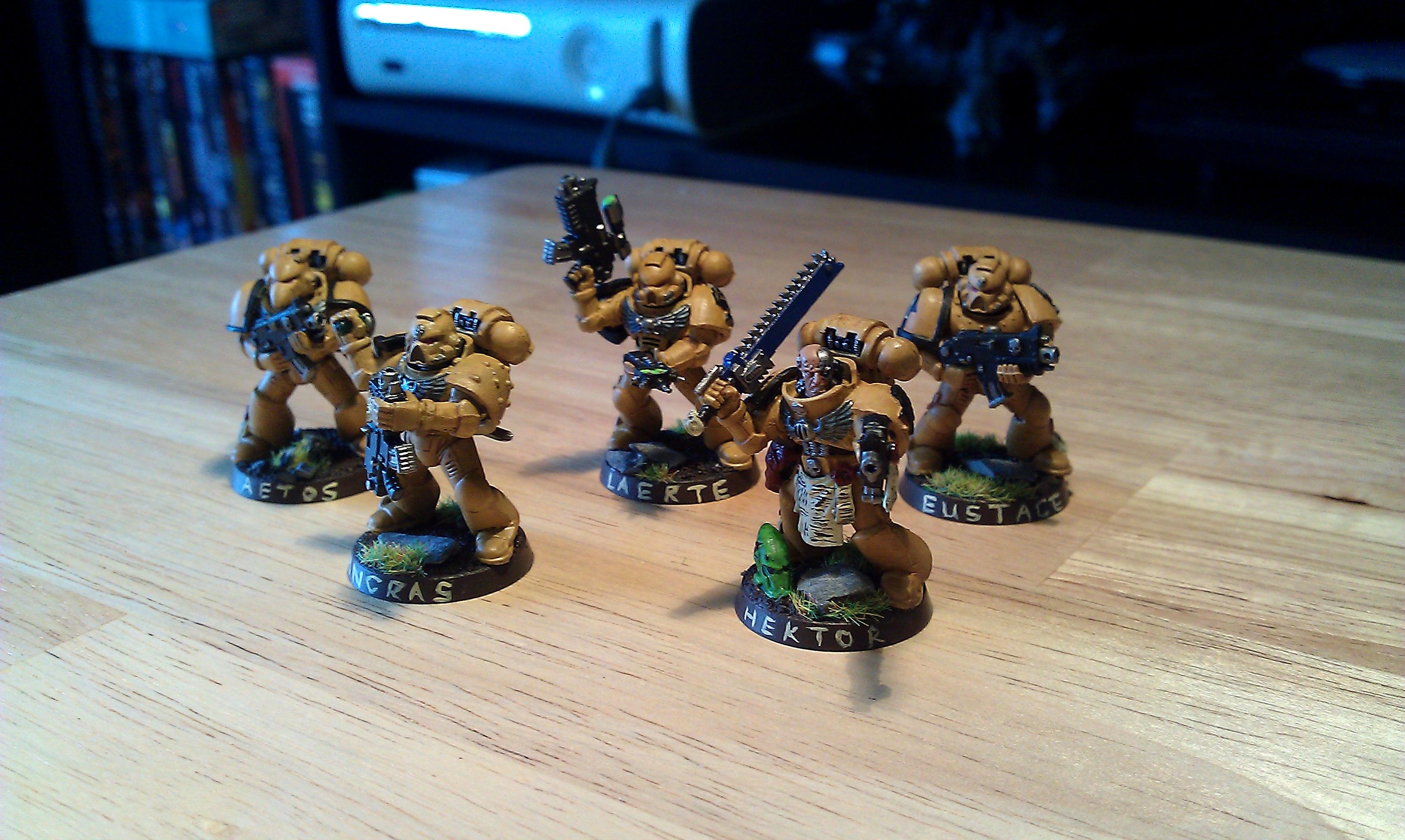 Fists, Imperial Fists, Space Marines, Tactical Squad