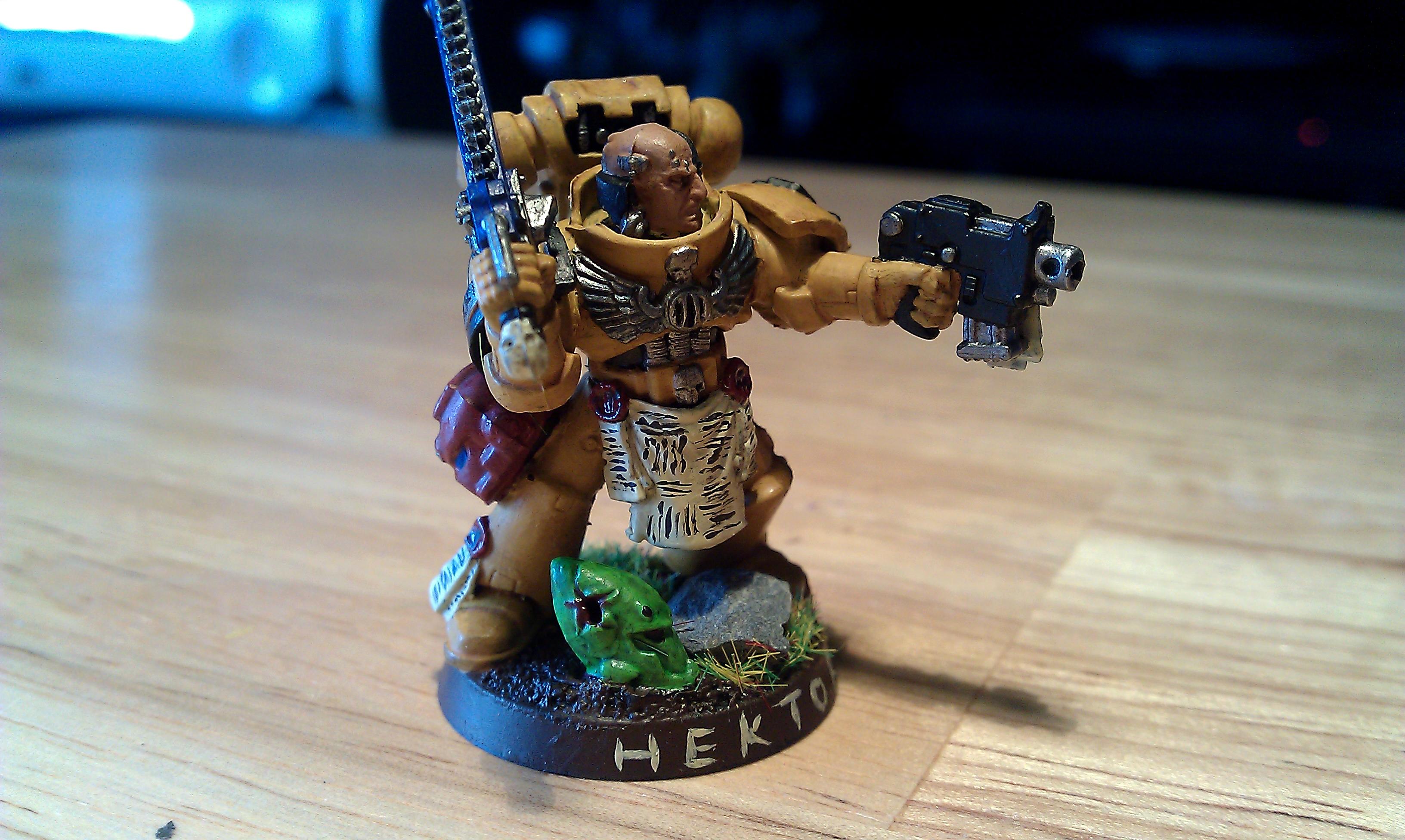 Imperial Fists, Sergeant, Space Marines, Tactical Squad