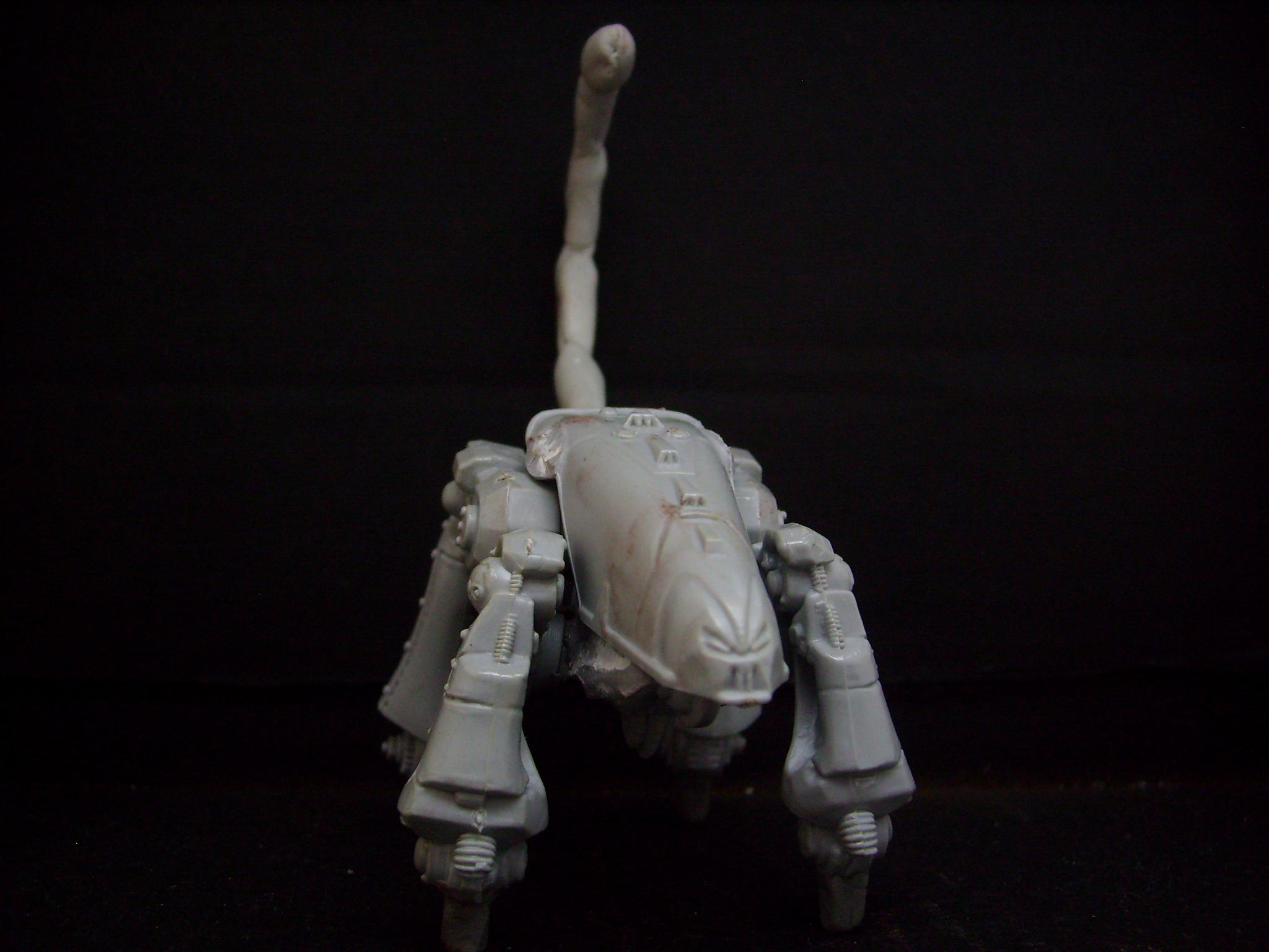 Skorp Dread start