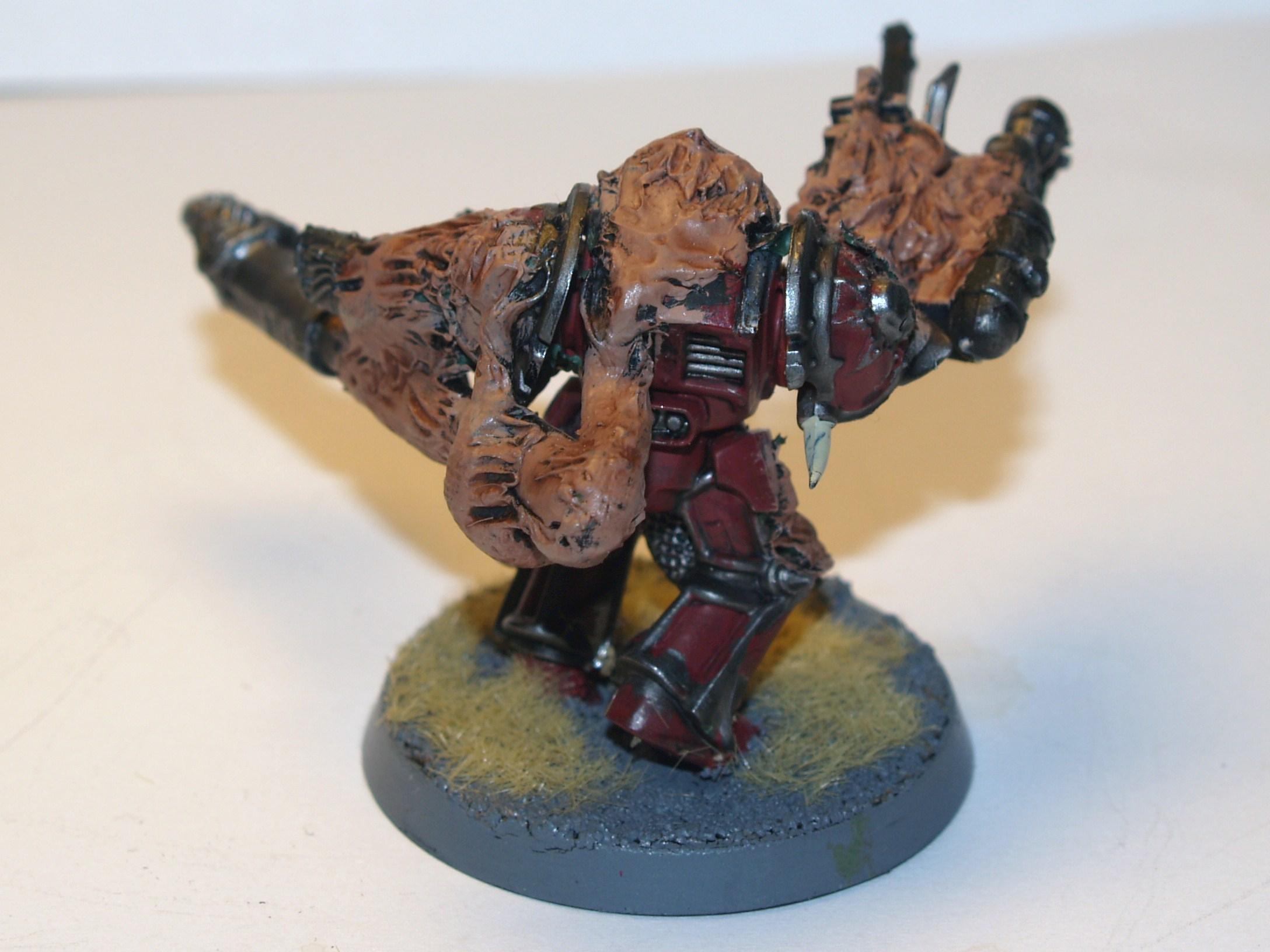 Chaos Space Marines, Conversion, Nurgle, Plague Marines