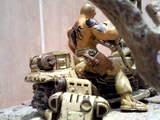 iron snakes marine