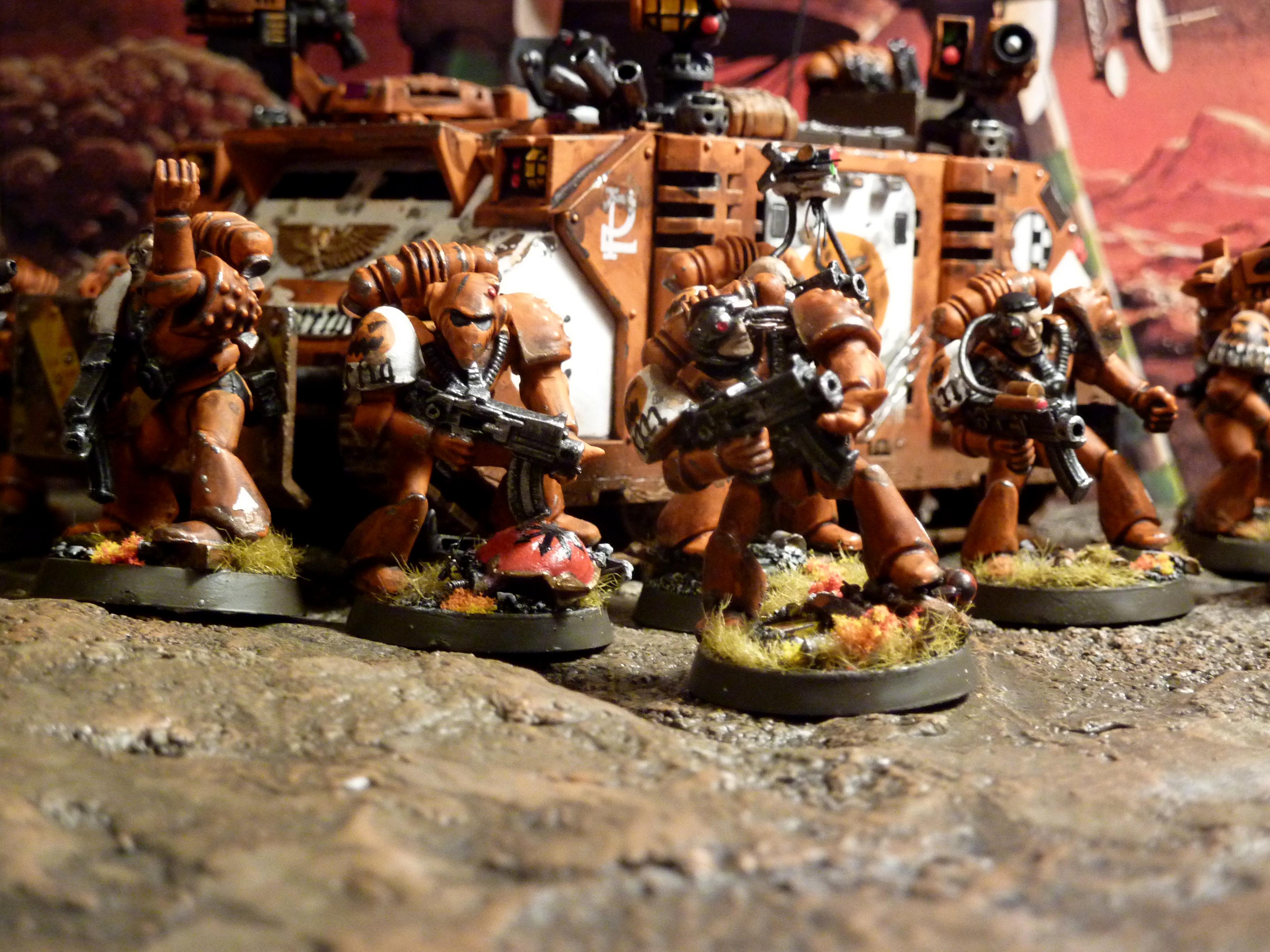 Rogue Trader, Space Marines