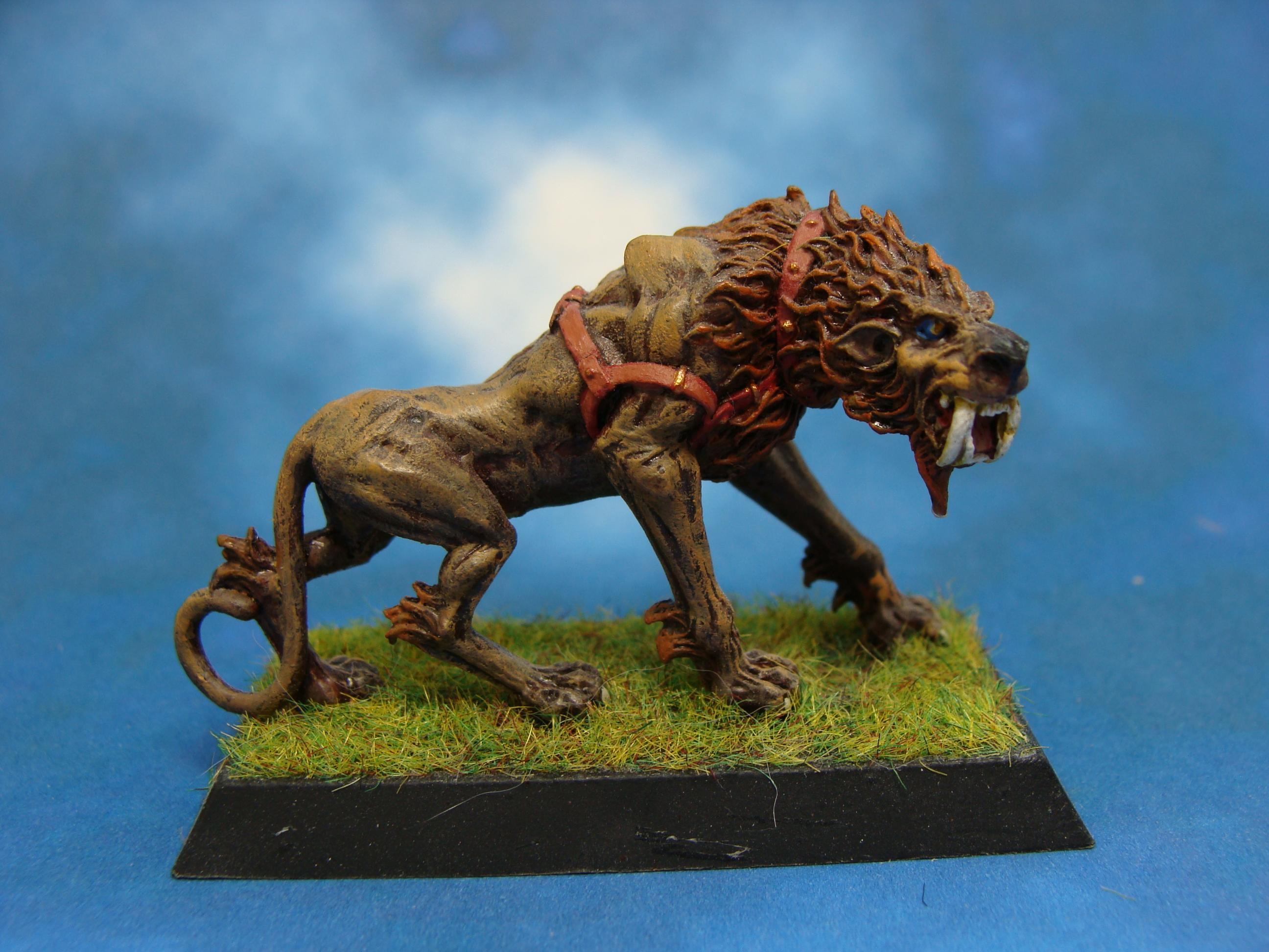 Rackham, Warhammer Fantasy, Wolf