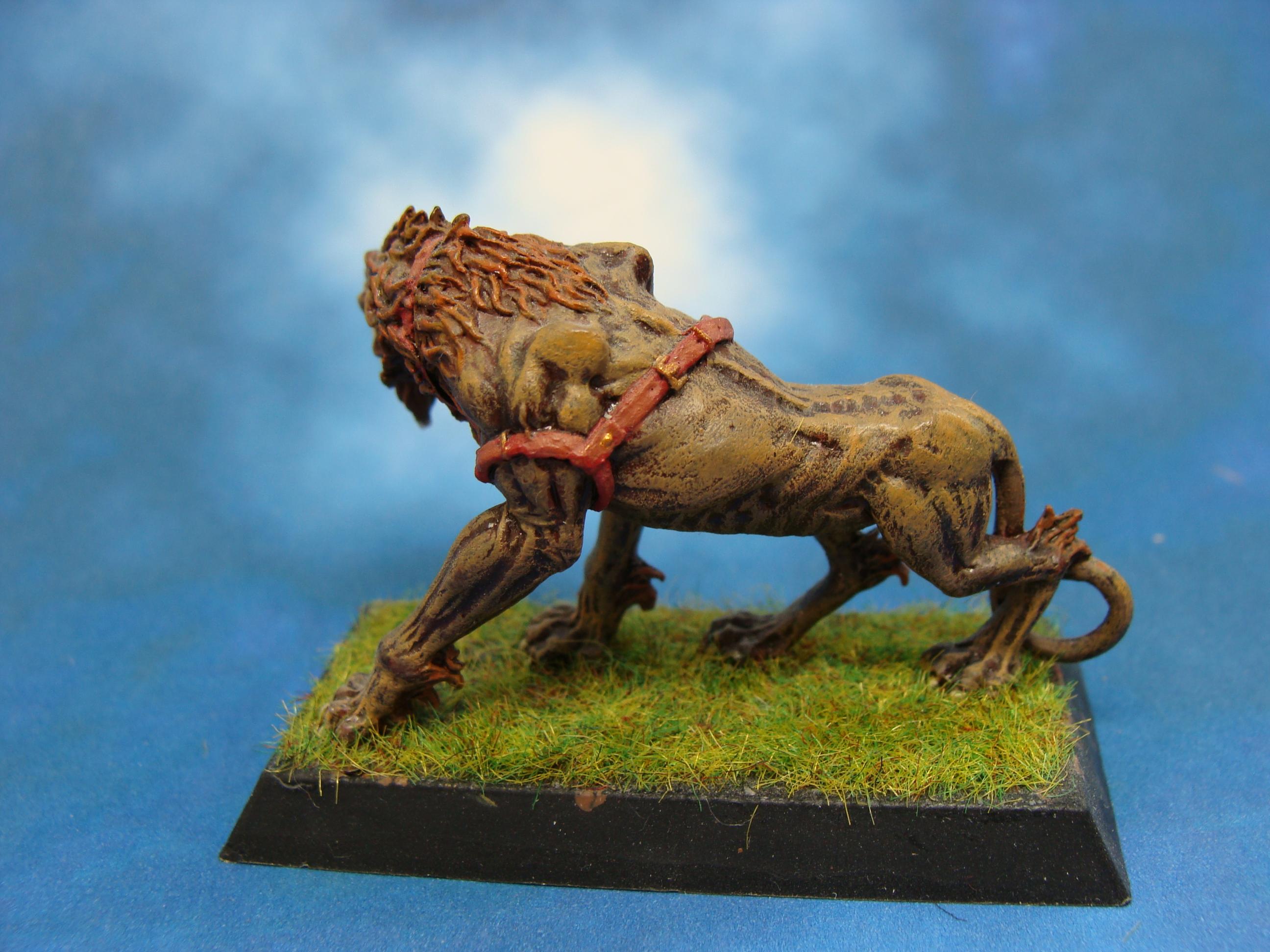Rackham, Warhammer Fantasy, Wolf