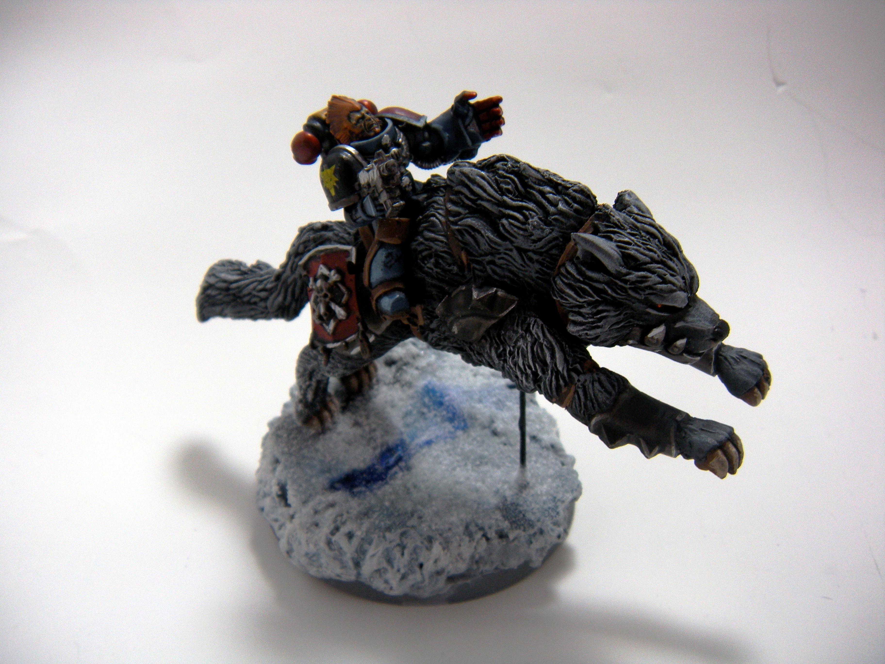 Space Wolves, Space Wolves Gallery