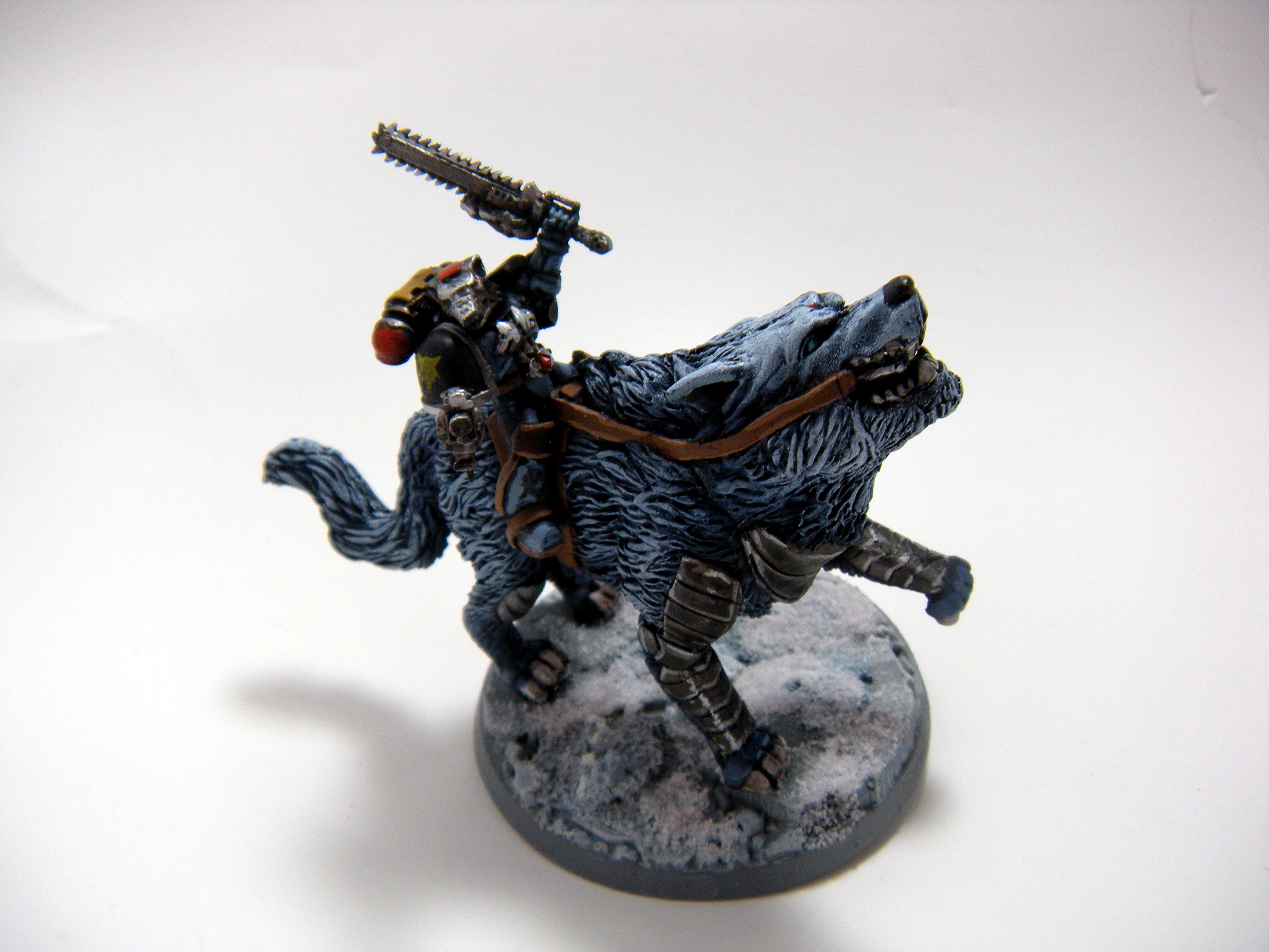 Space Wolves, Space Wolves Gallery