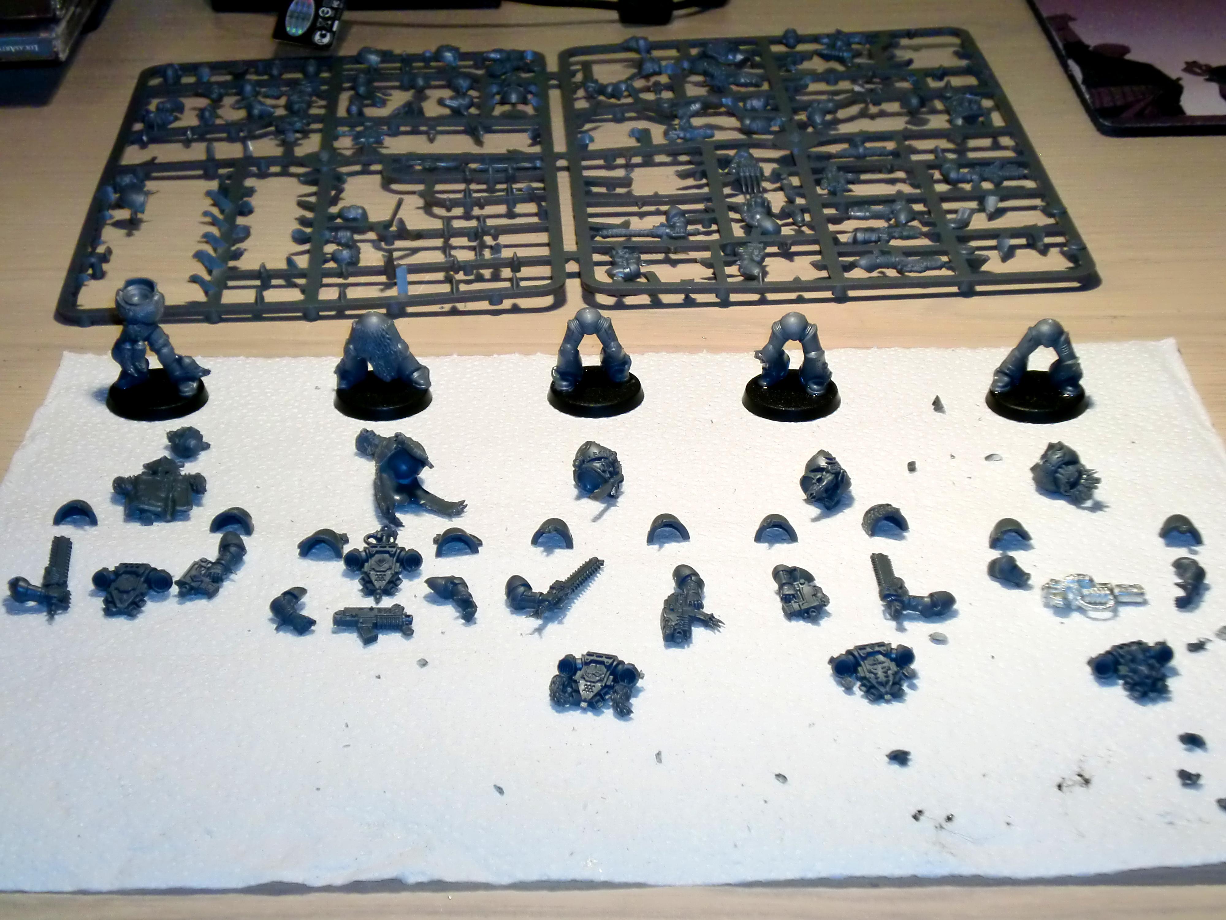 Grey Hunters, Space Wolves, Work In Progress