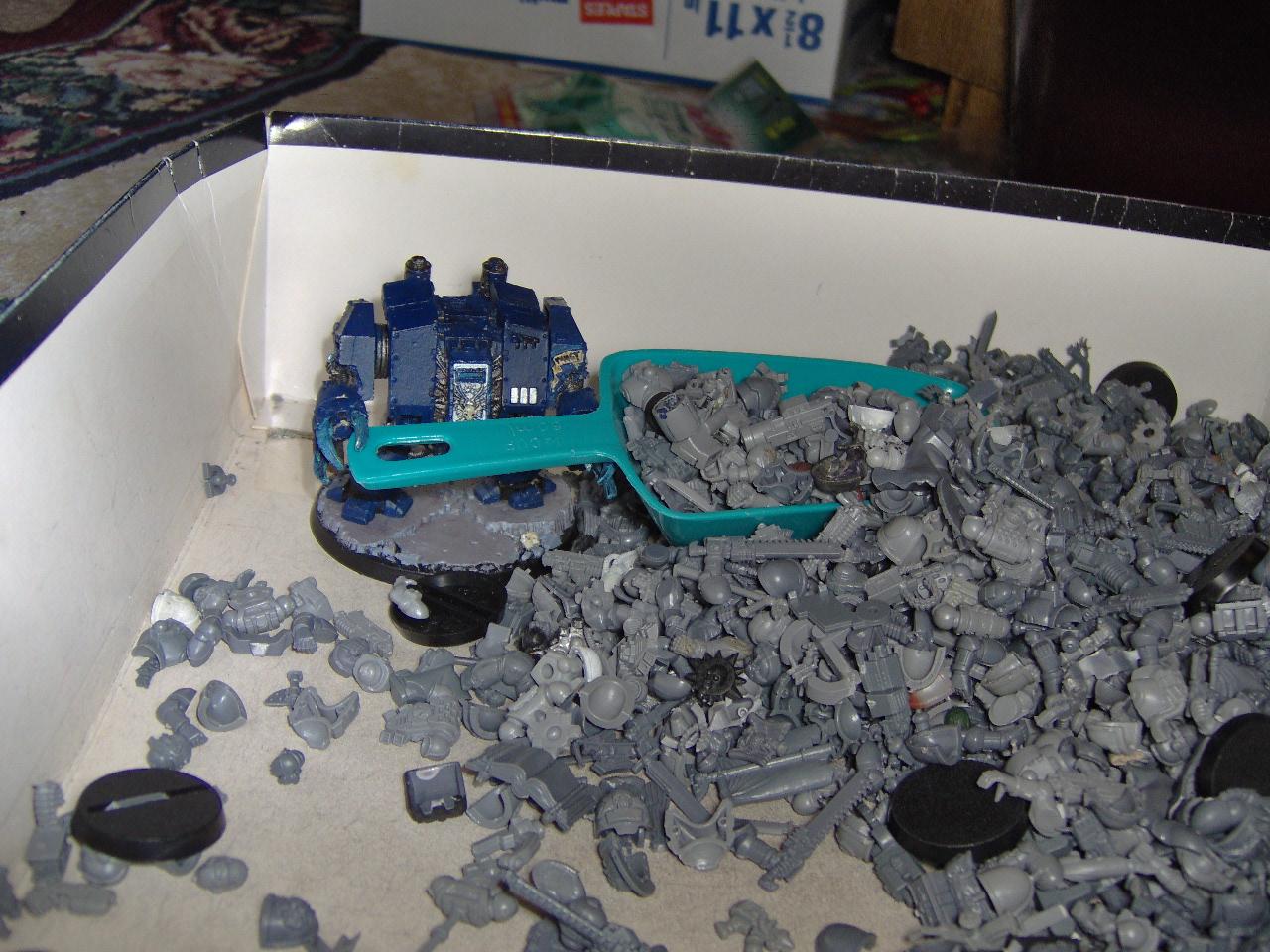 Bits, Fangy, Space Marines