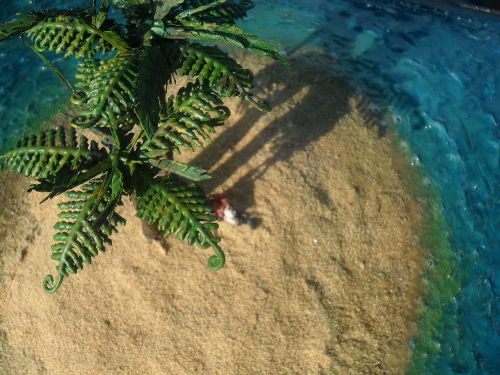Plants, Sand, Terrain