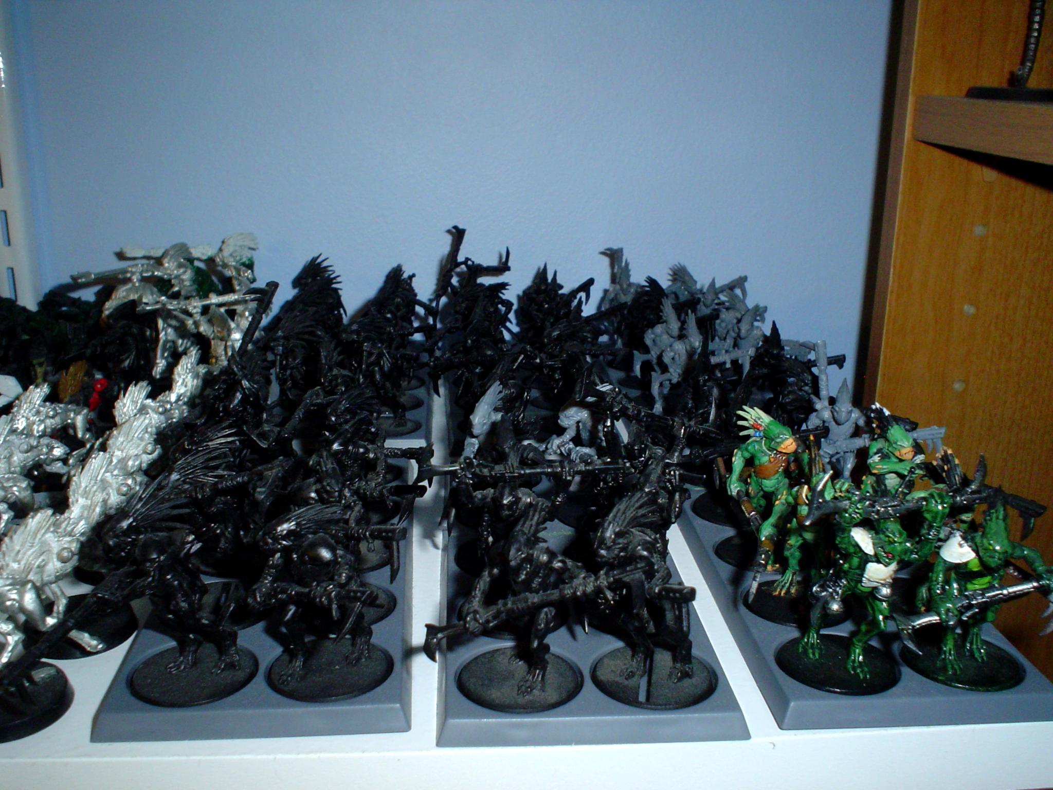 Tau, Kroot Carnivores