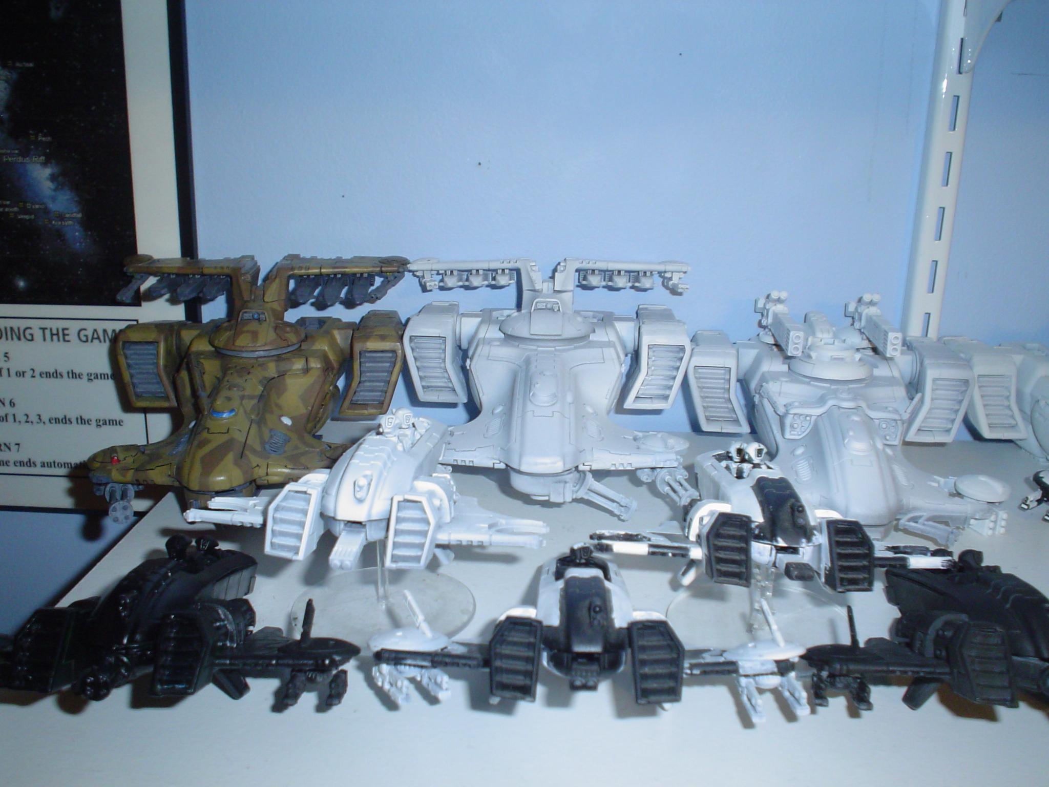 Tau, Sky Rays, Another Hammerhead, and more Piranhas