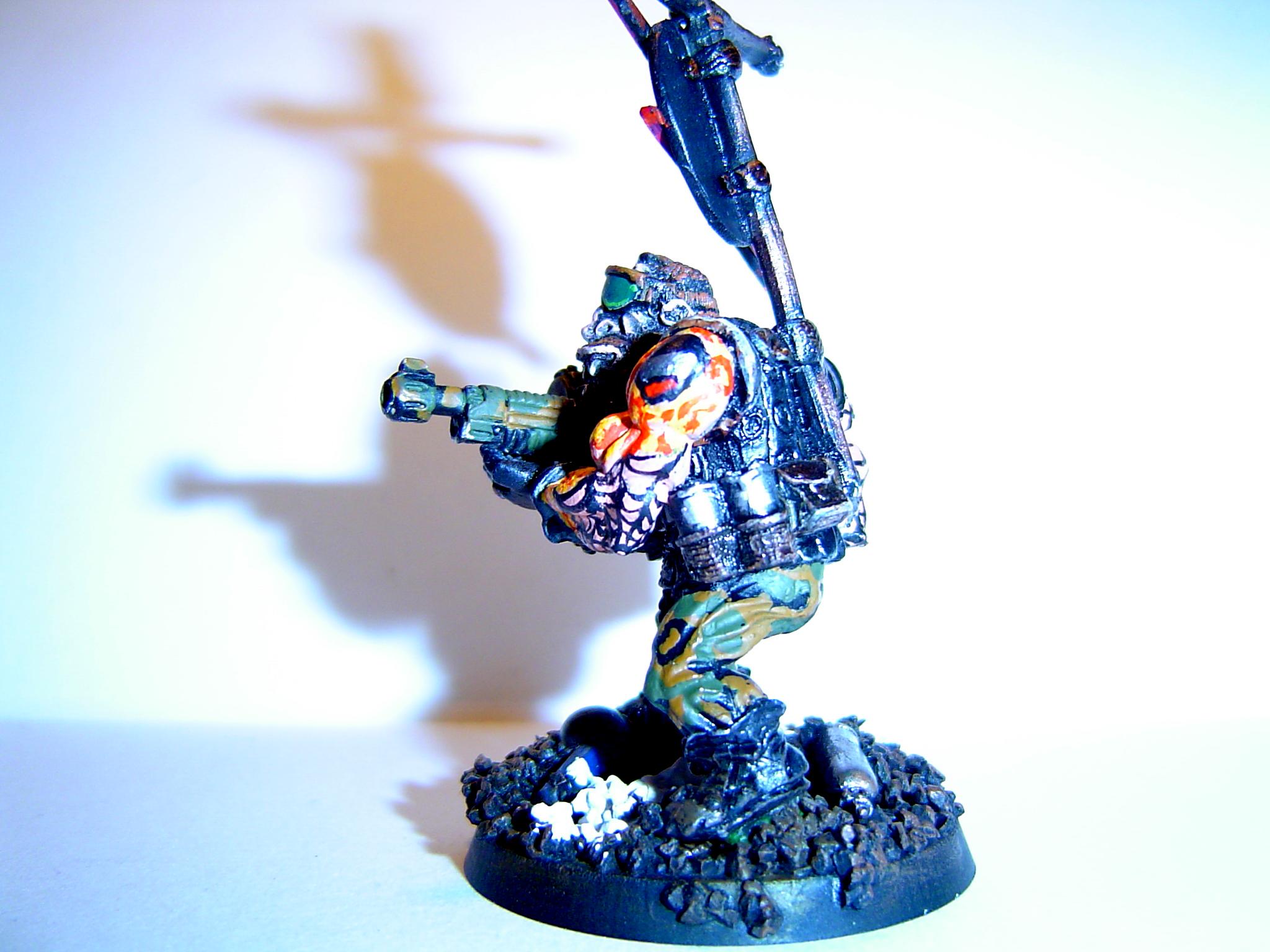 Imperial Guard, Ogres, Ogryns, Rouge Trader, Steel Legion