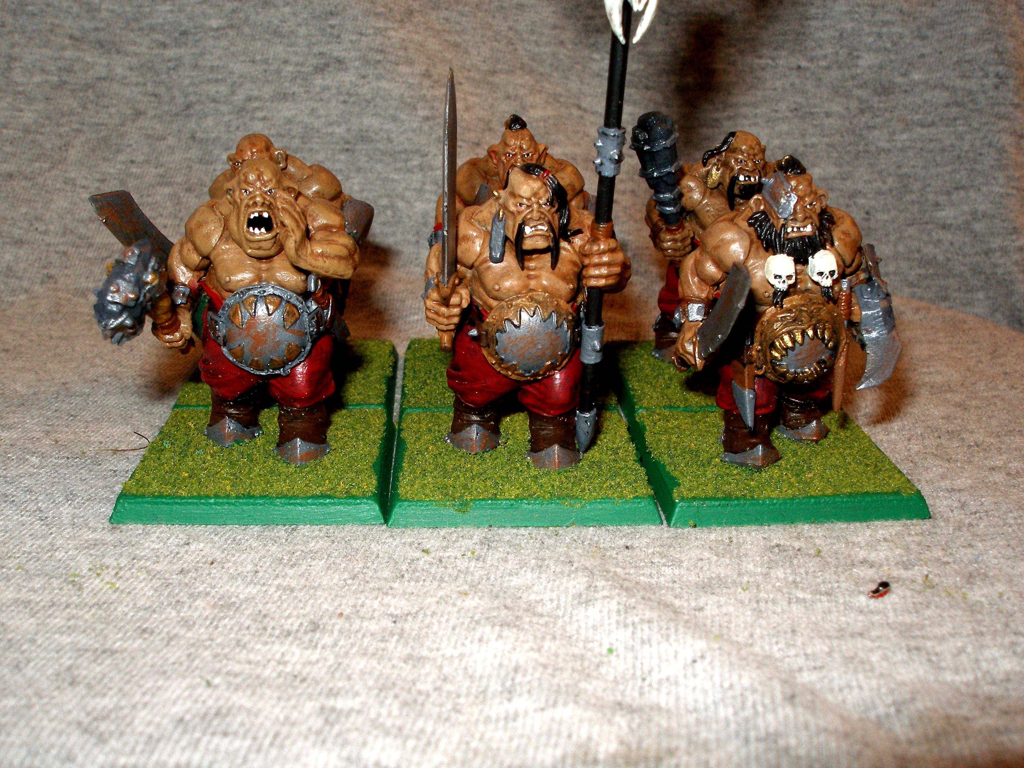 ogre Bulls