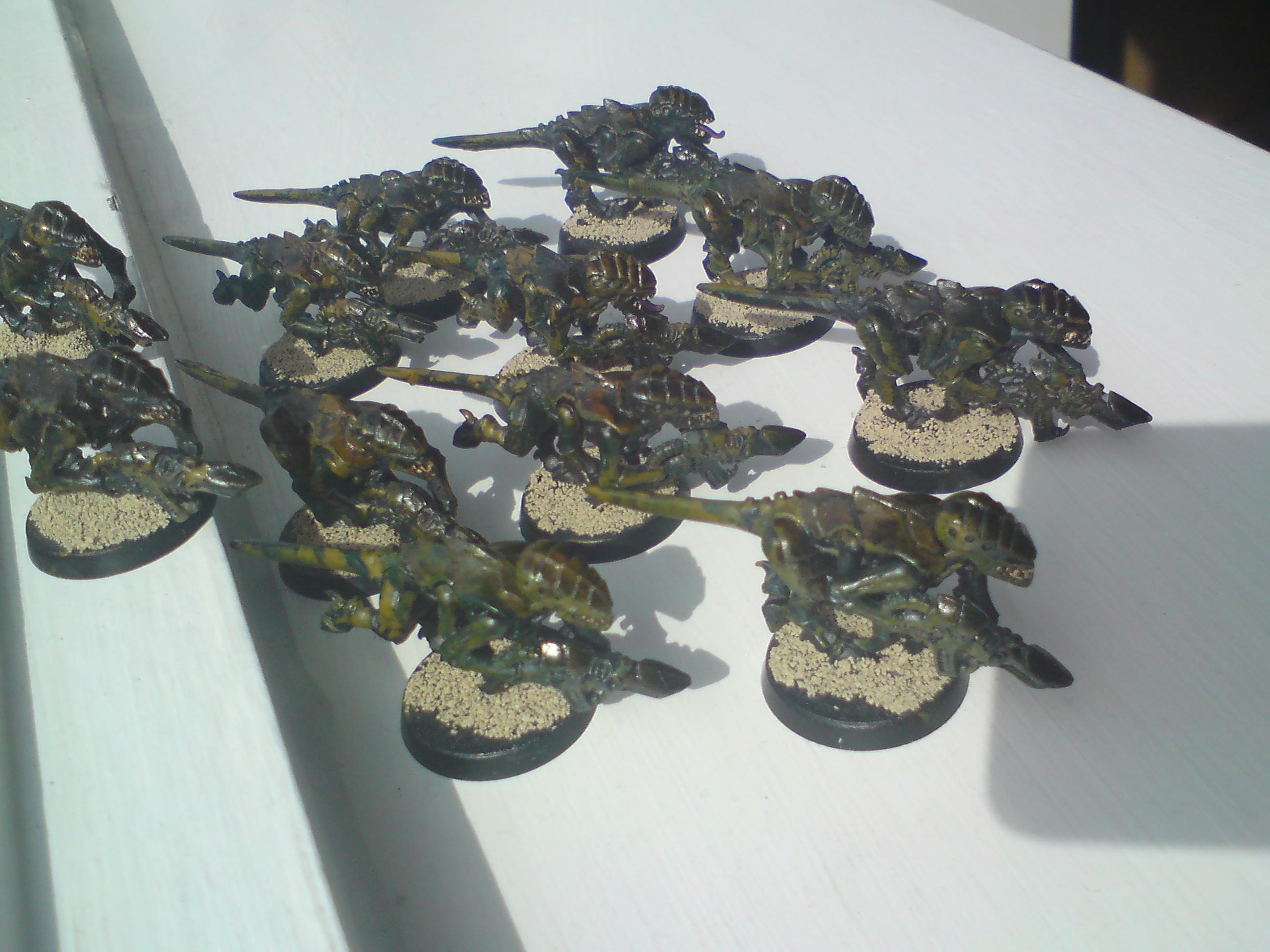 12 gaunts