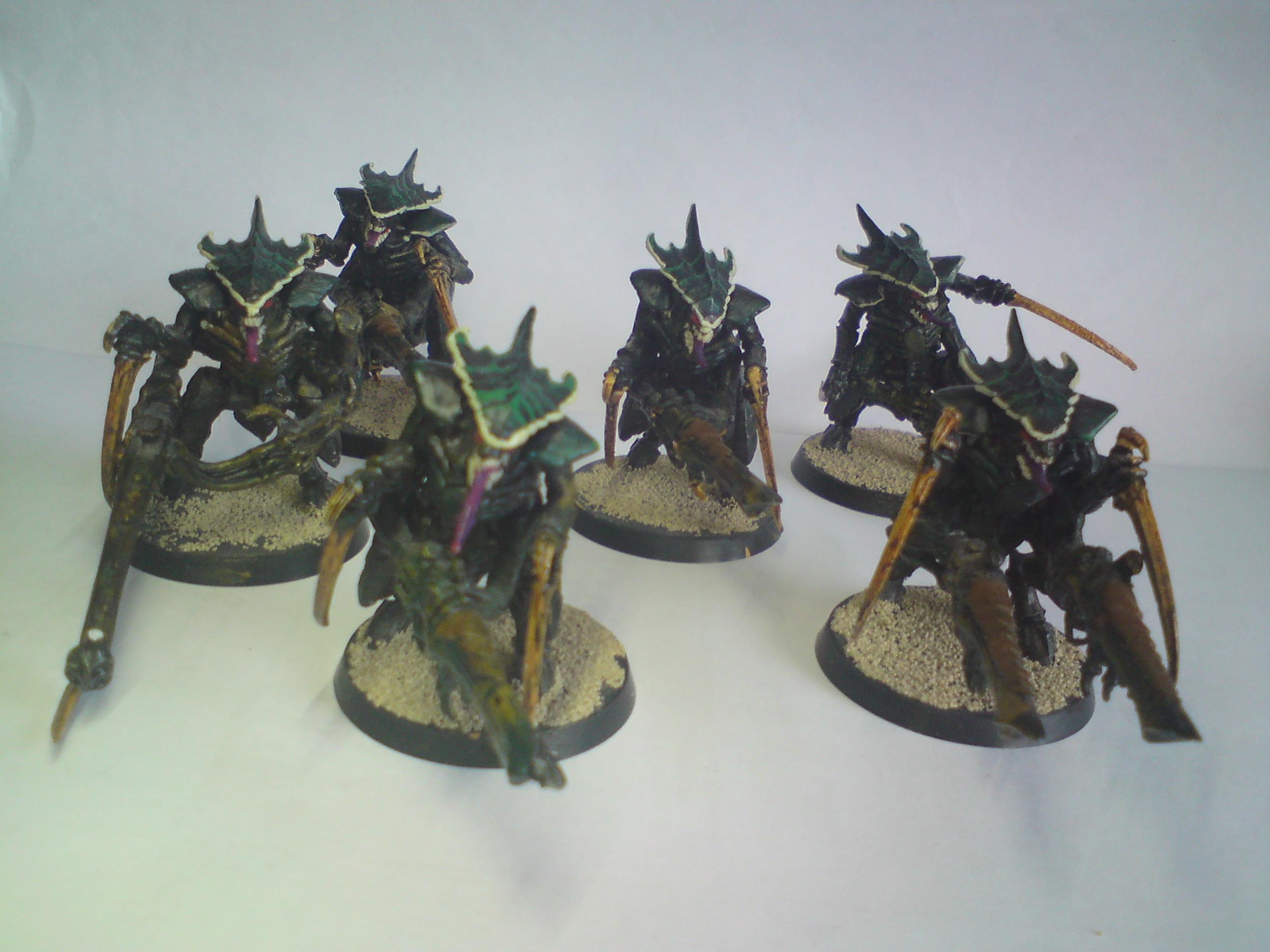 group shot of shooty warriors 