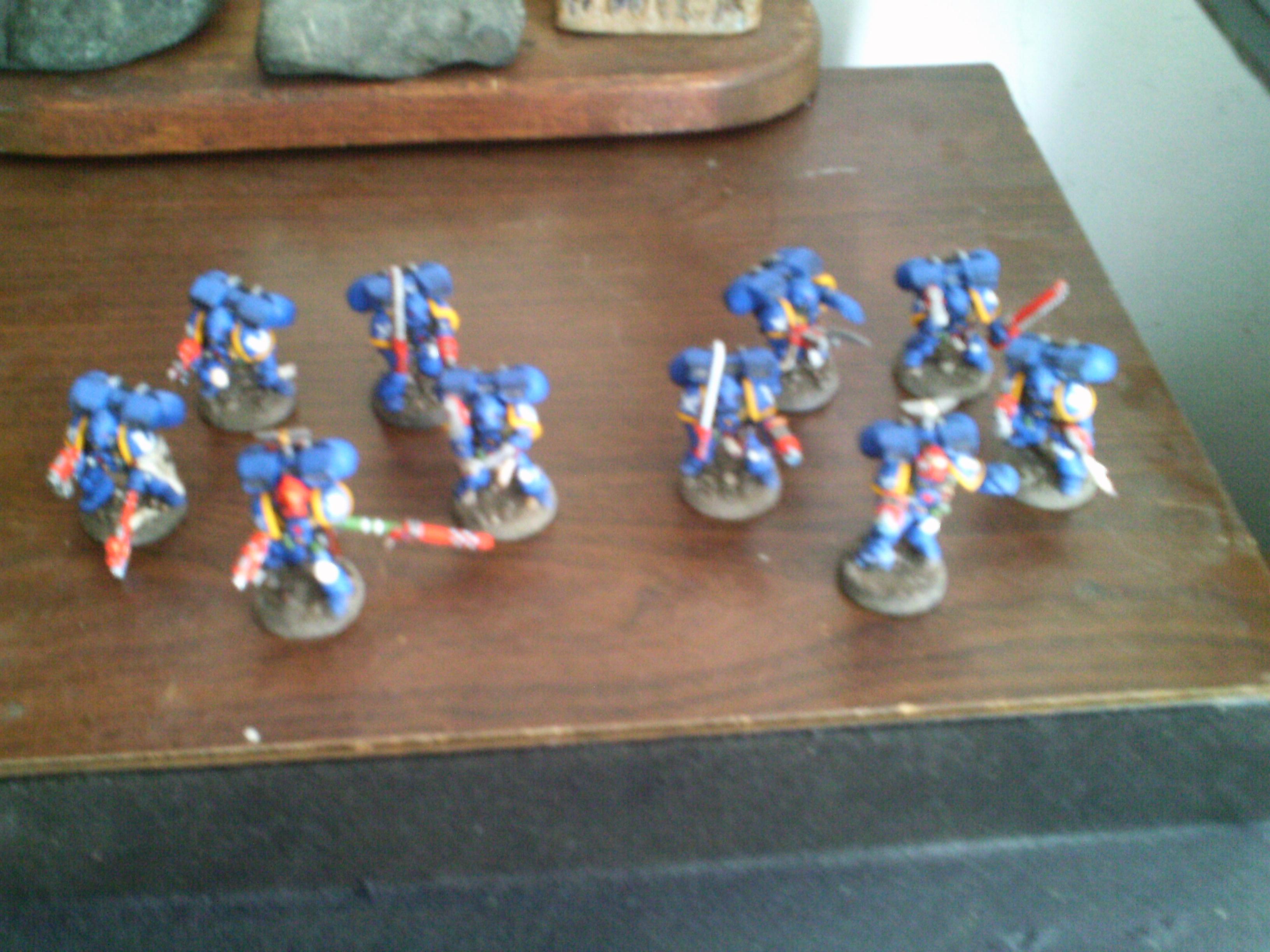 2 x5 Assault squads 