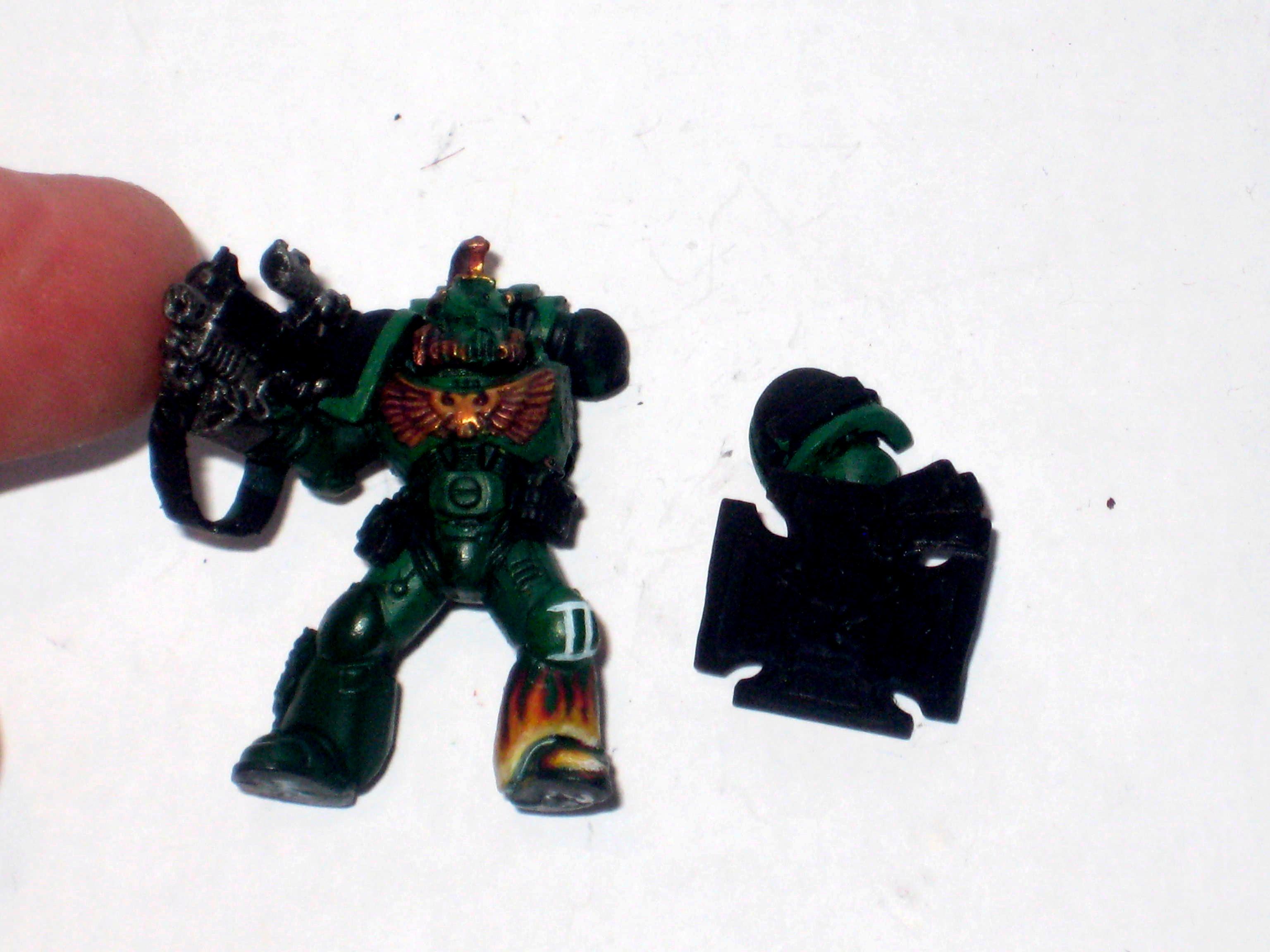 Salamander, Veteran, salamander veteran