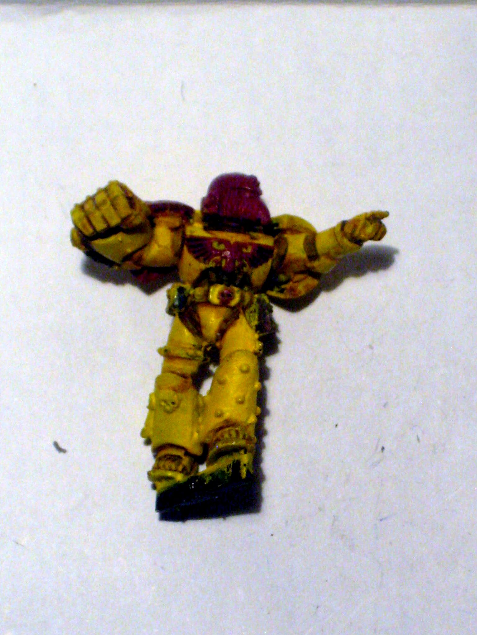 Imperial Fists, Veteran