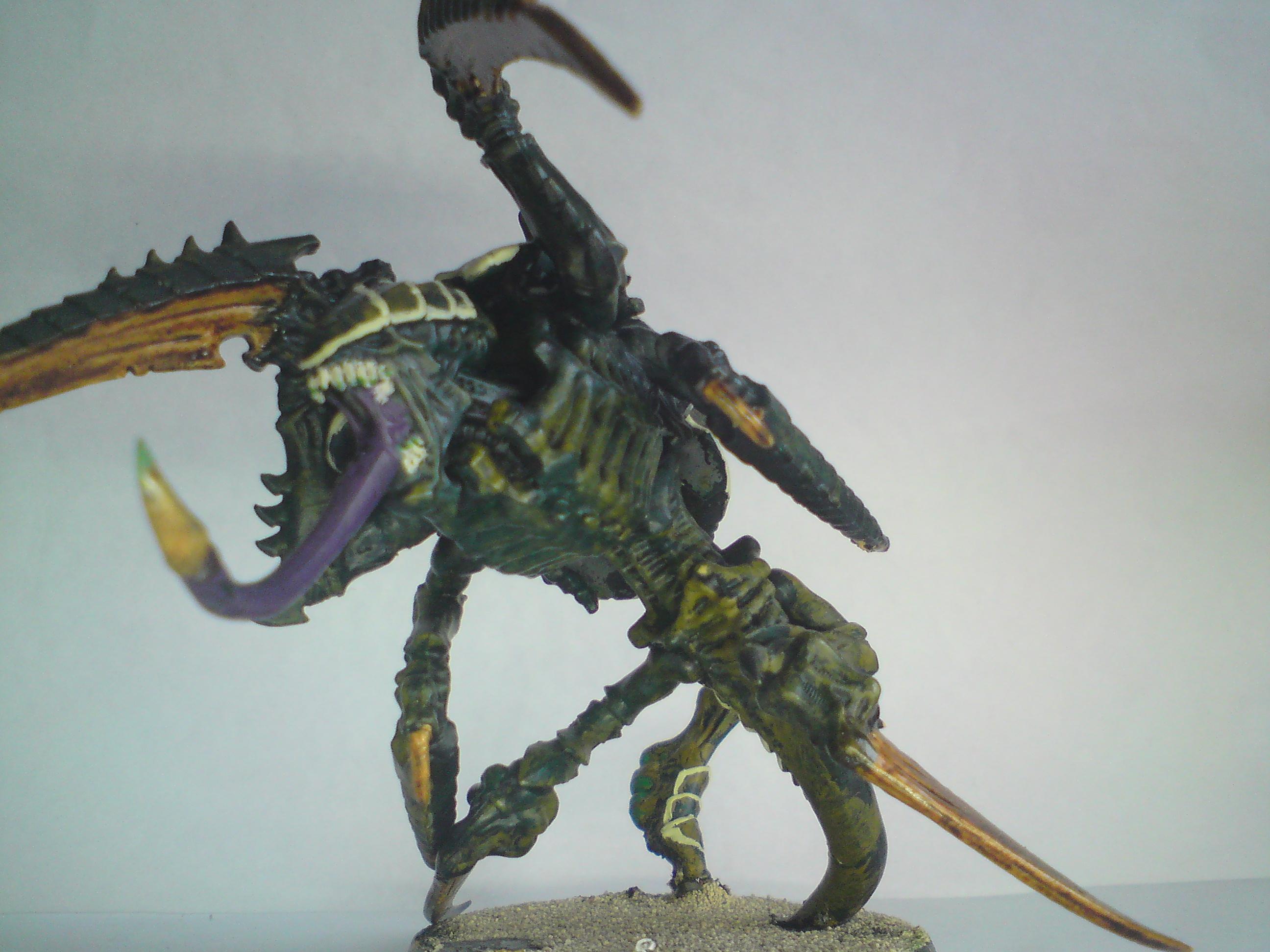 snakeyfex