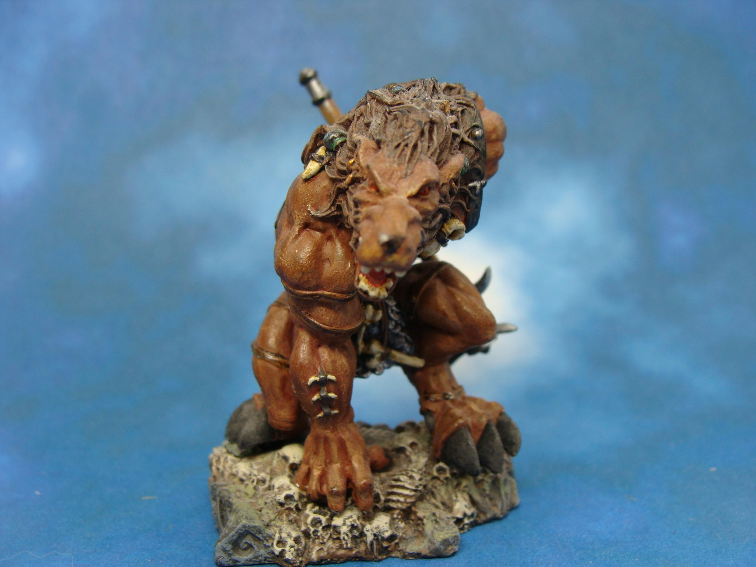 Rackham, Warhammer Fantasy, Wolven
