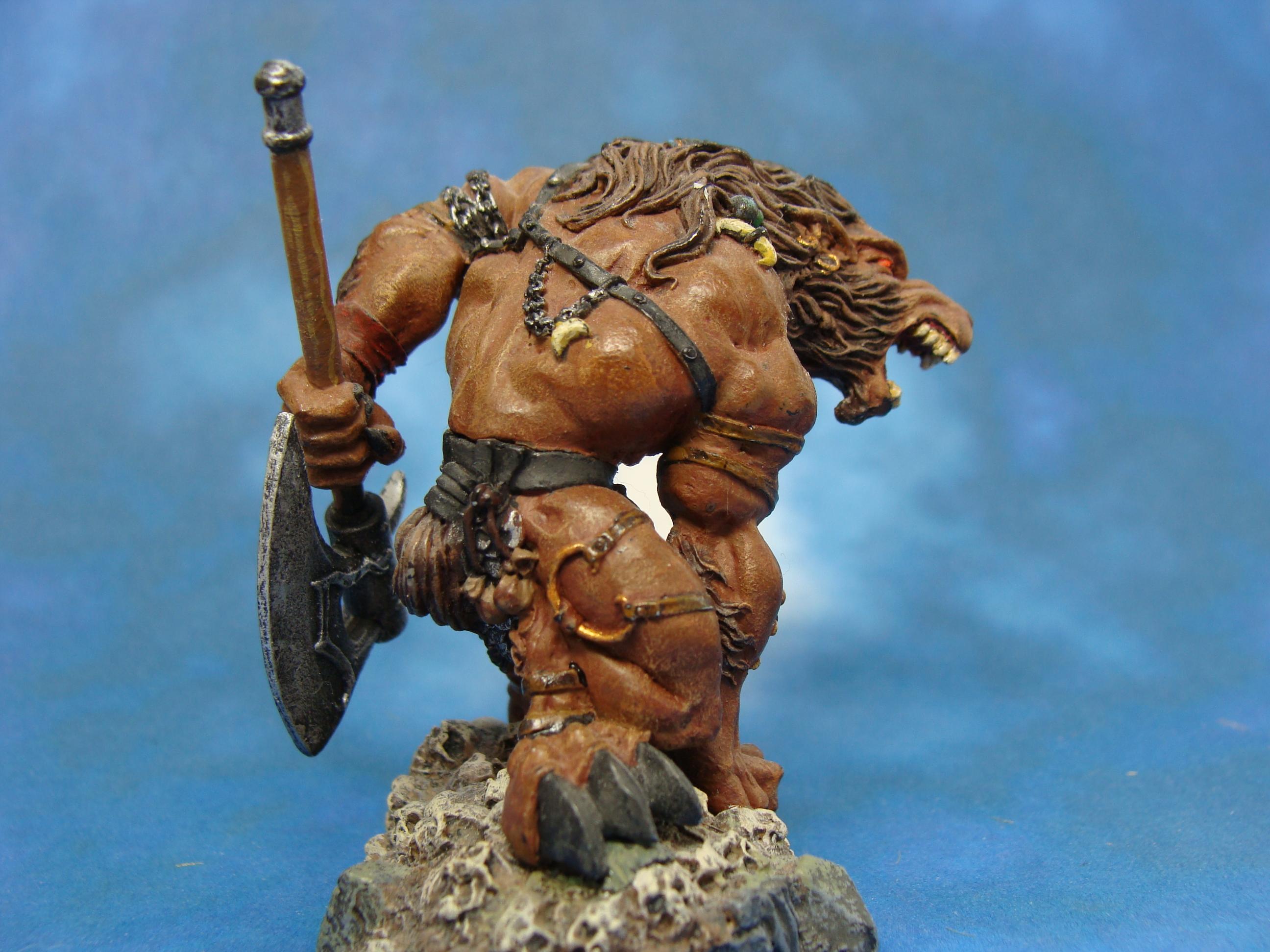 Rackham, Warhammer Fantasy, Wolven