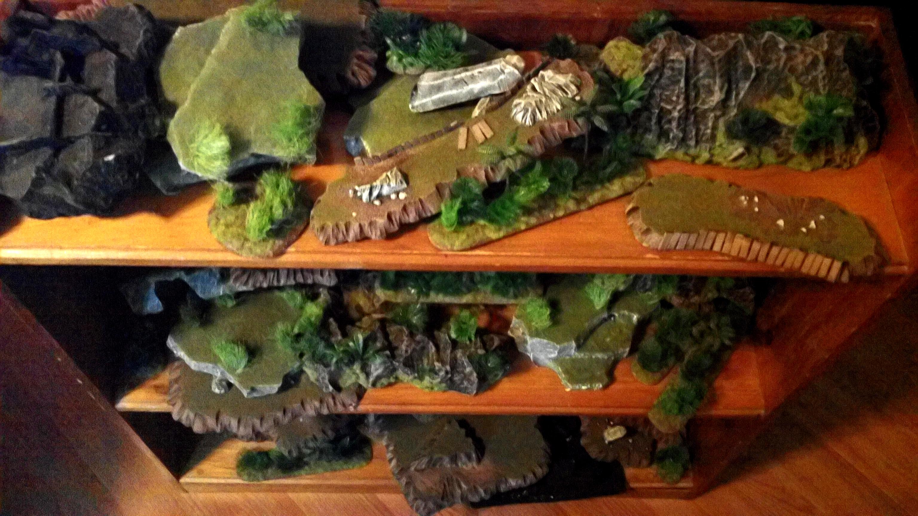 Terrain