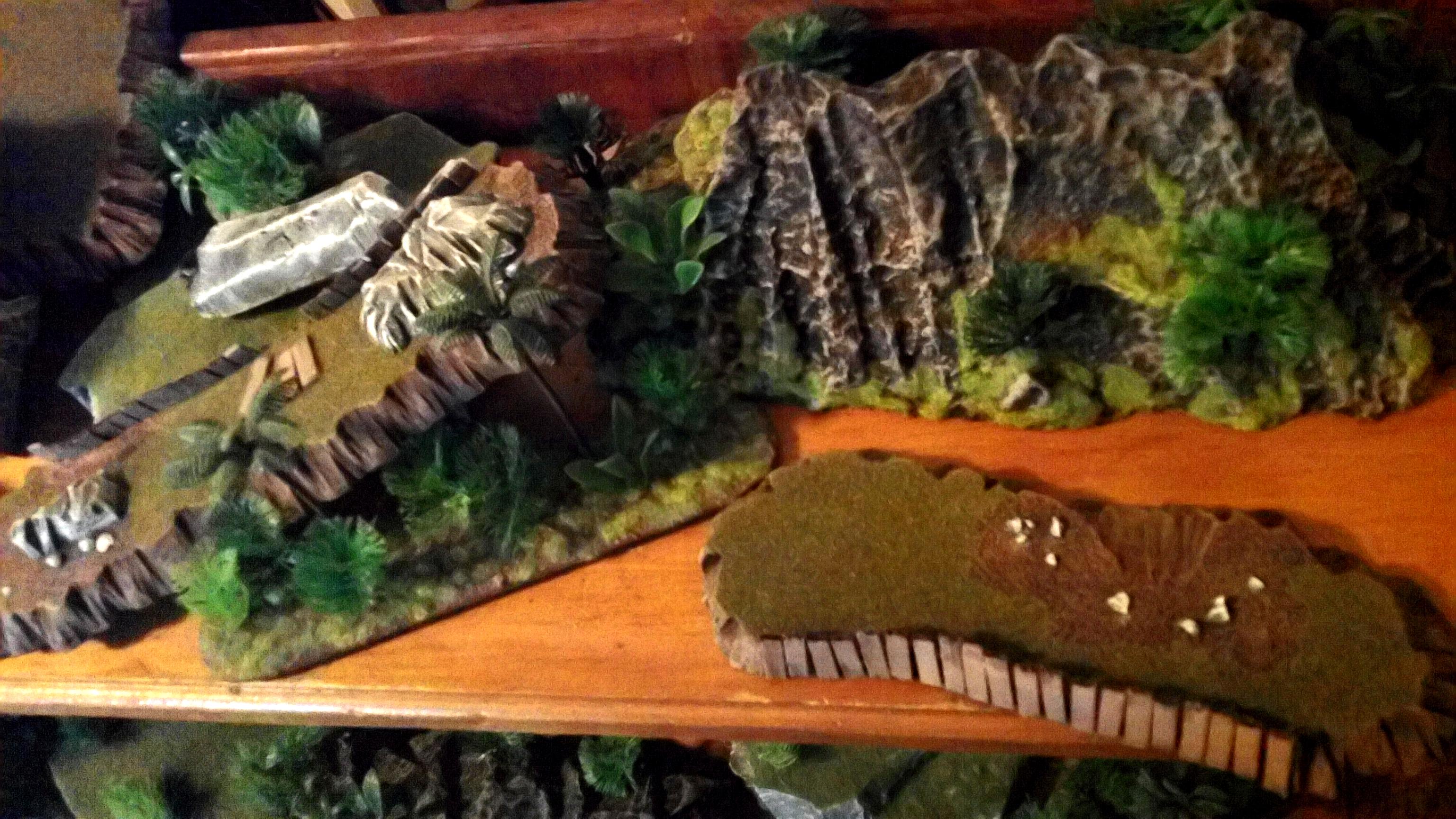 Terrain