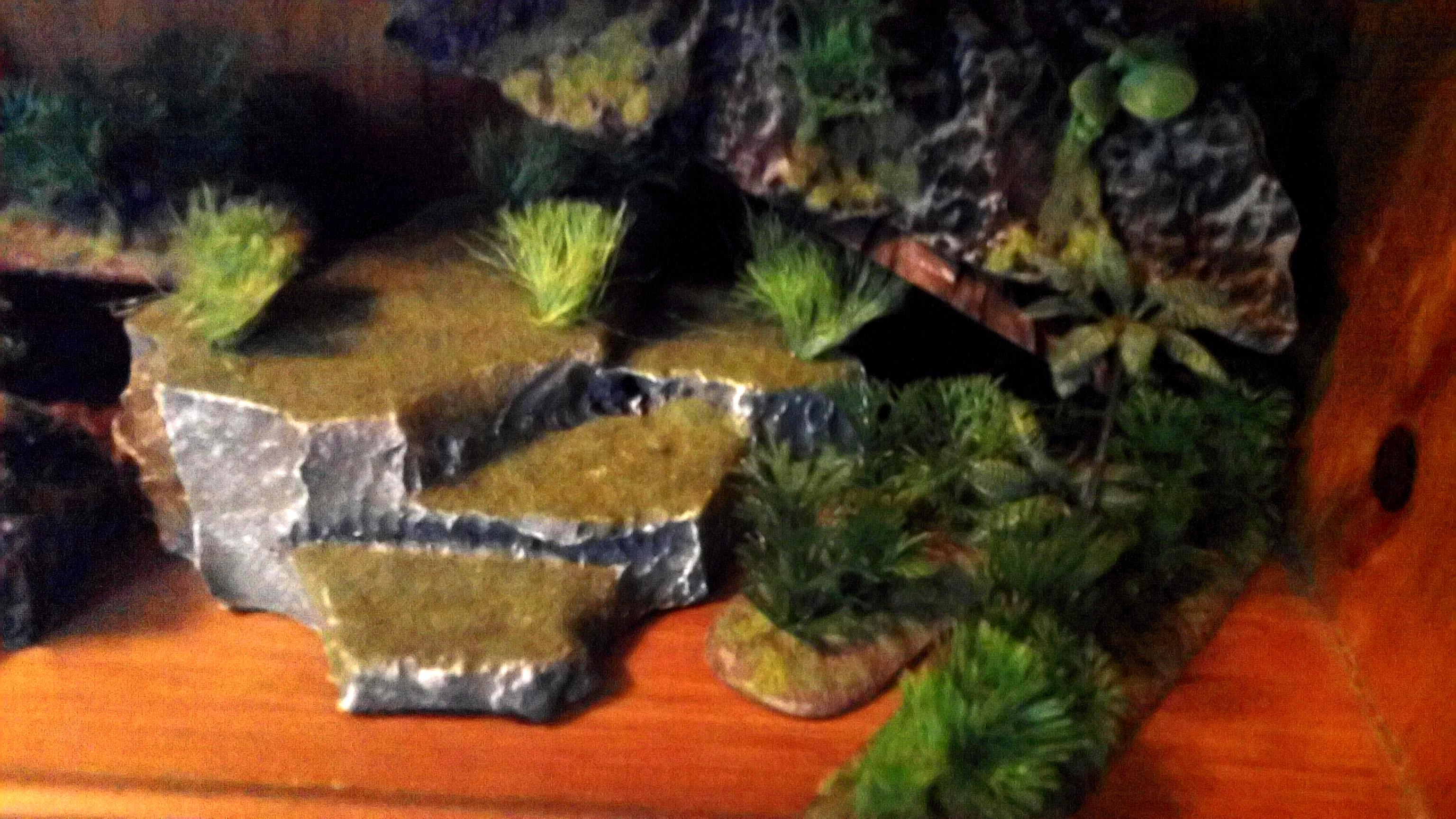 Terrain
