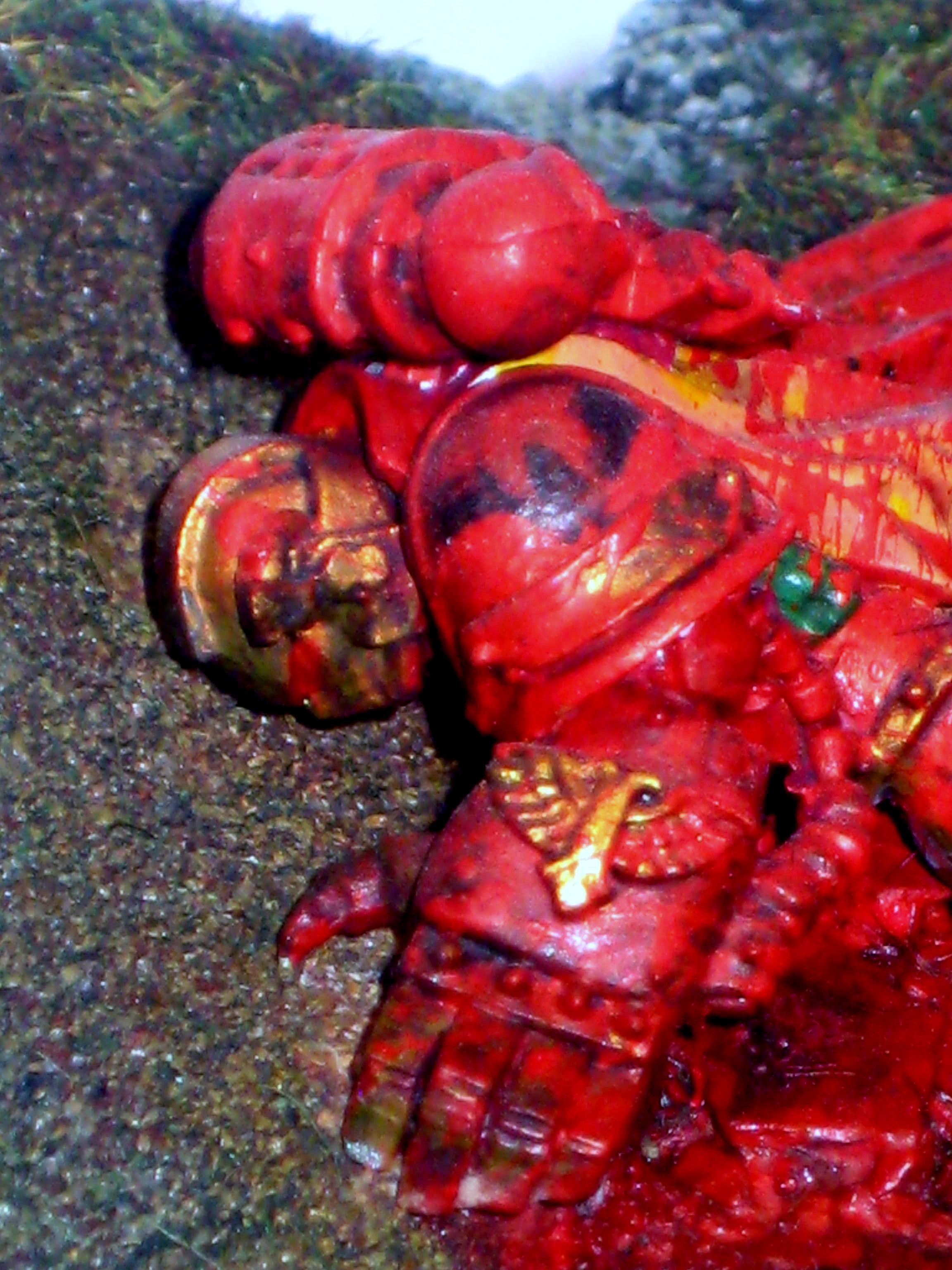 The fallen