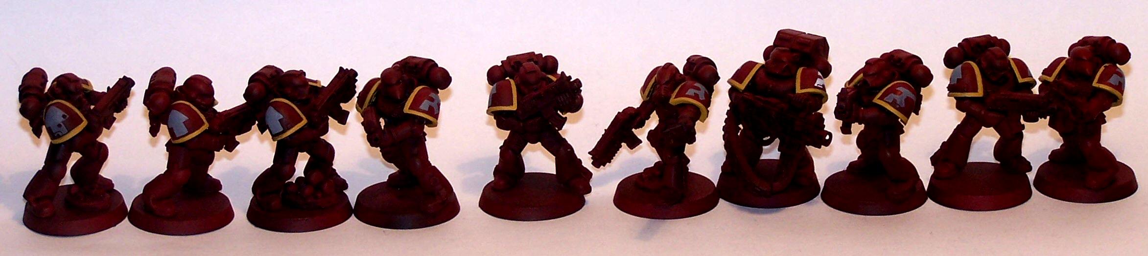 Emperor's Wings, Space Marines, Work In Progress