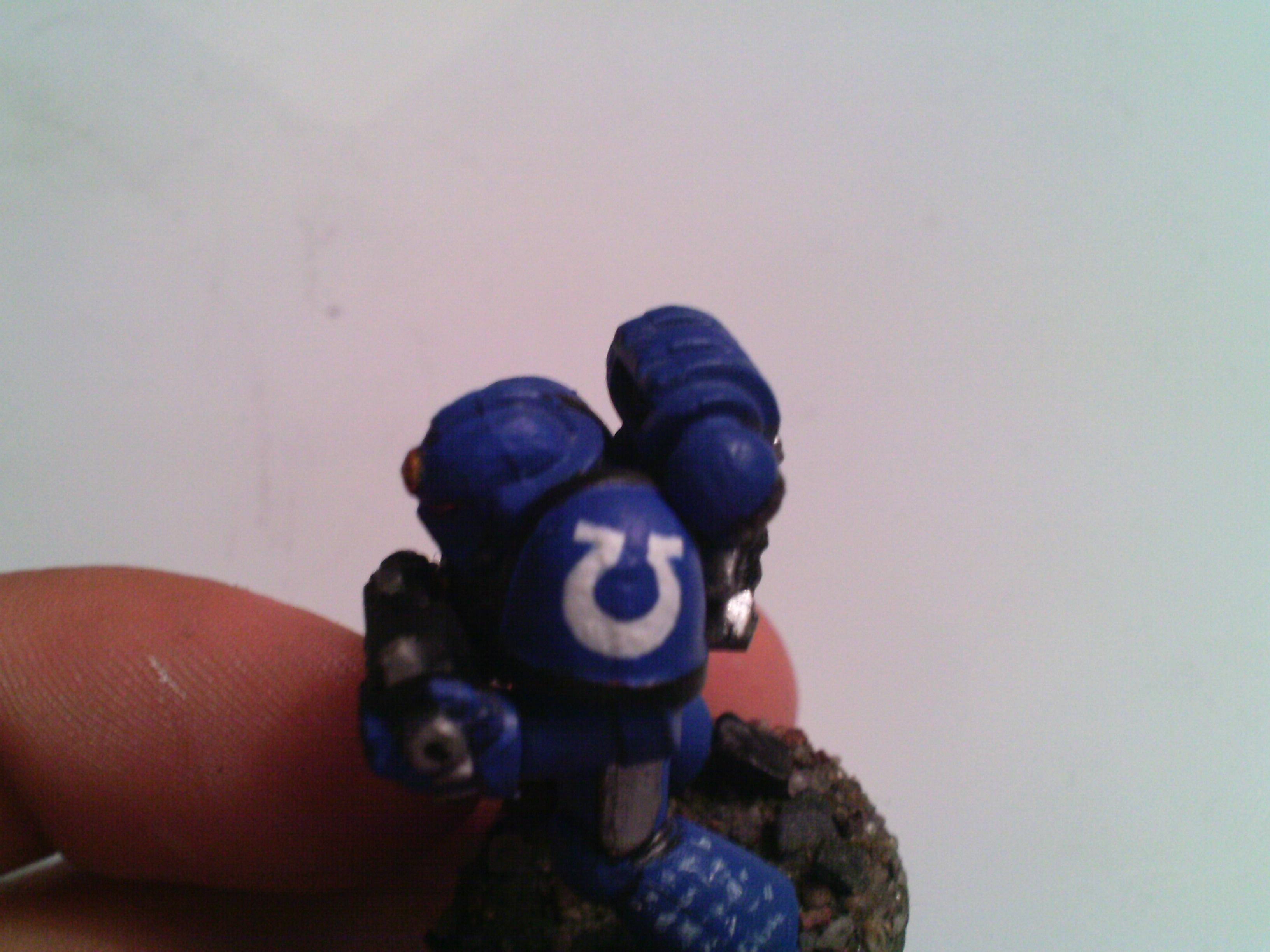 Then I go over it again in blue and edge out the details