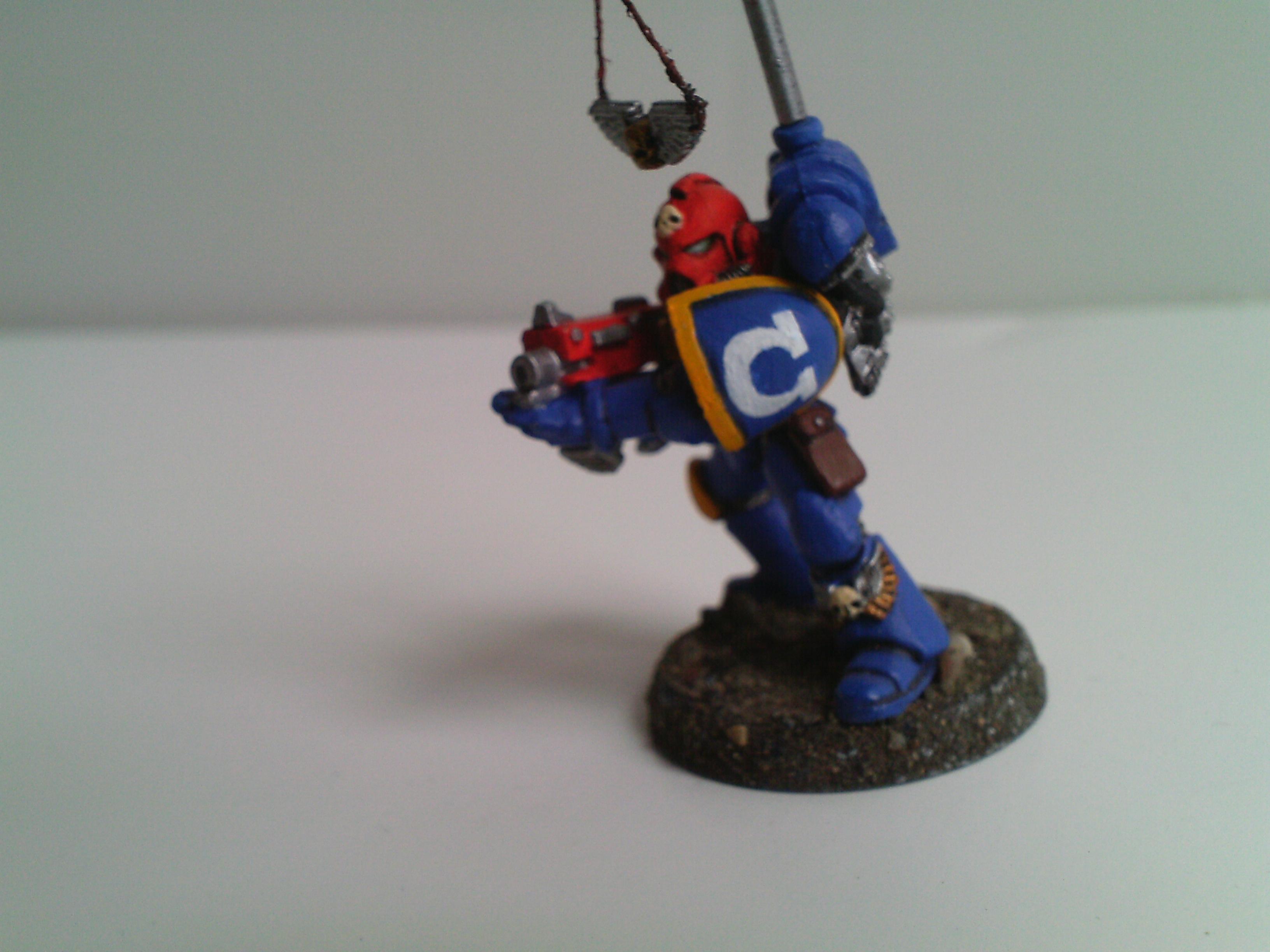 Devastator Srgt. {photo taken outside 1pm} 