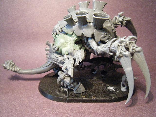 5th Tervigon (2)
