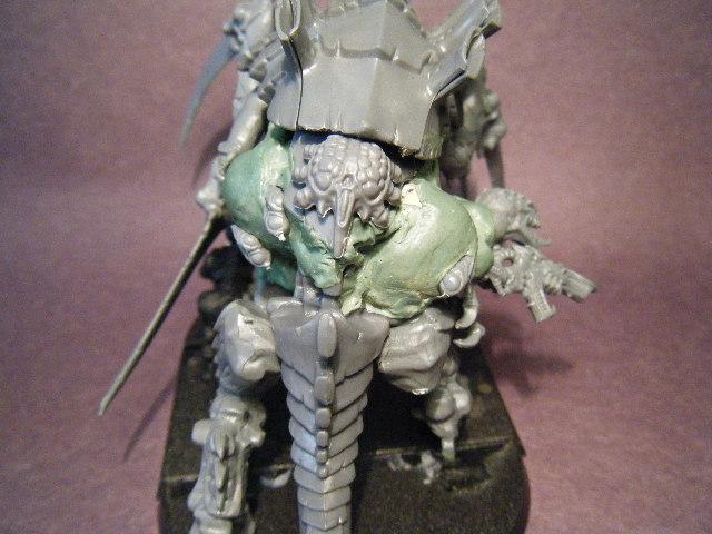 5th Tervigon (4)