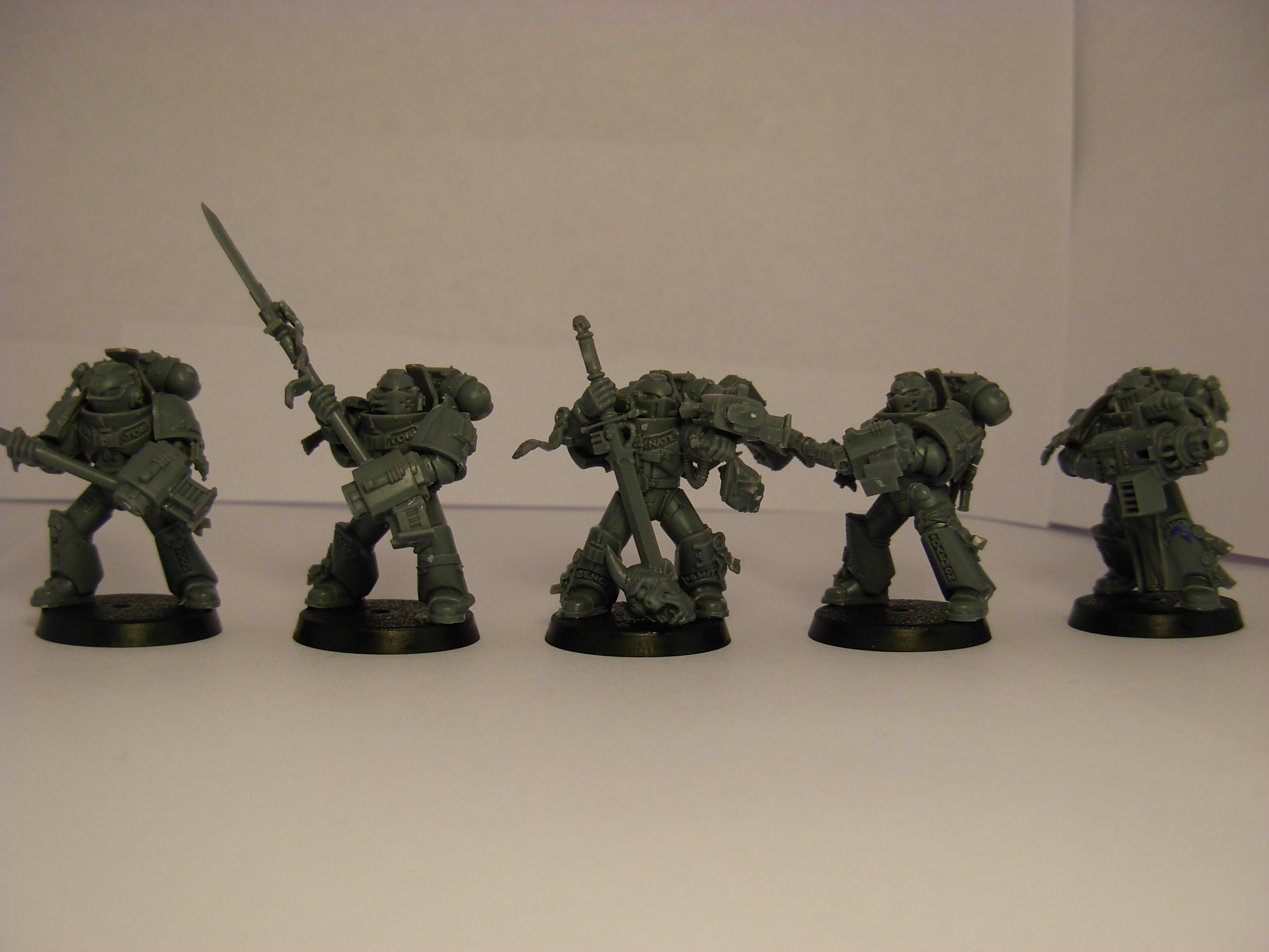 Grey Knights, The Grey knights