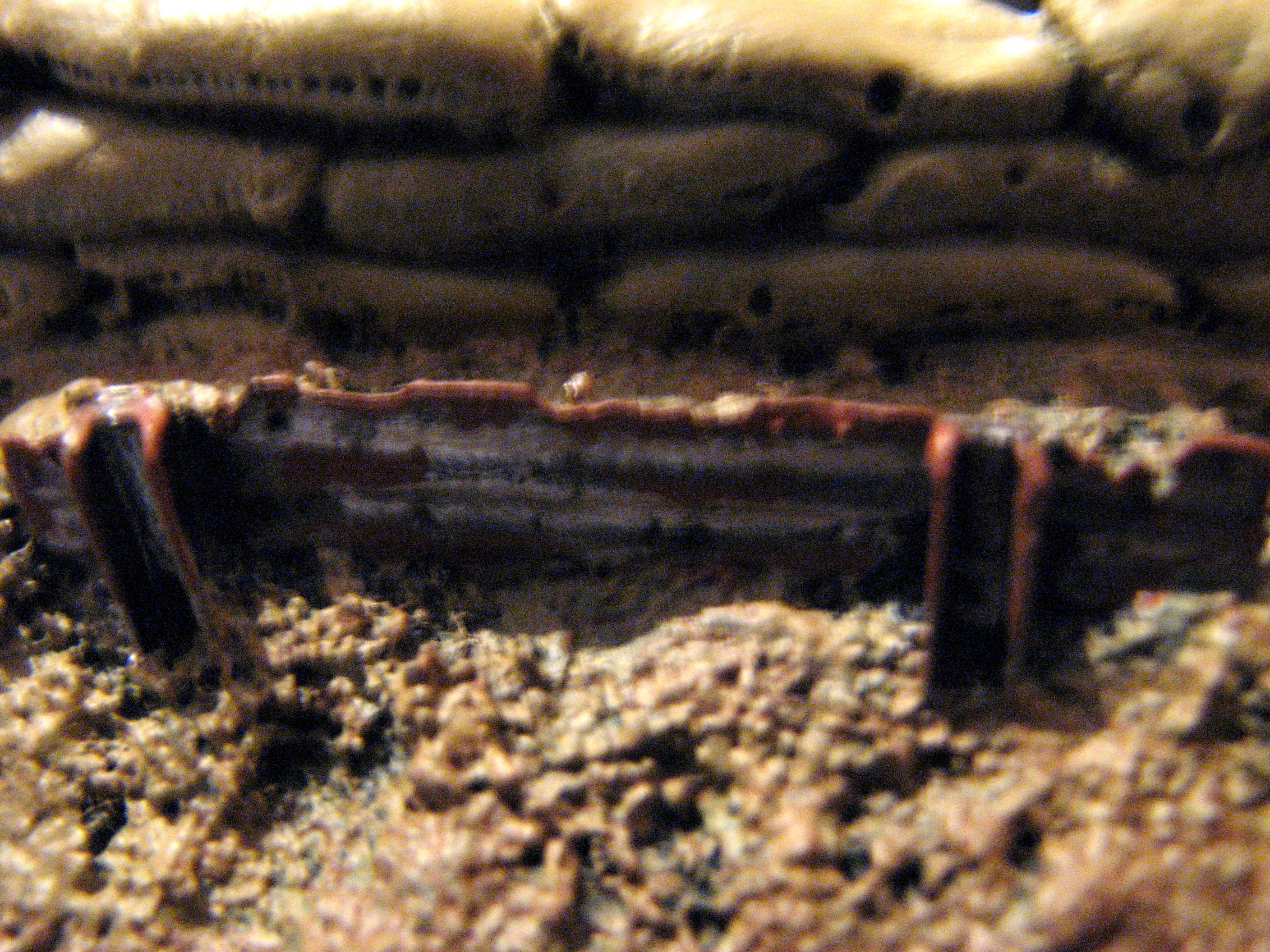 dug out 10