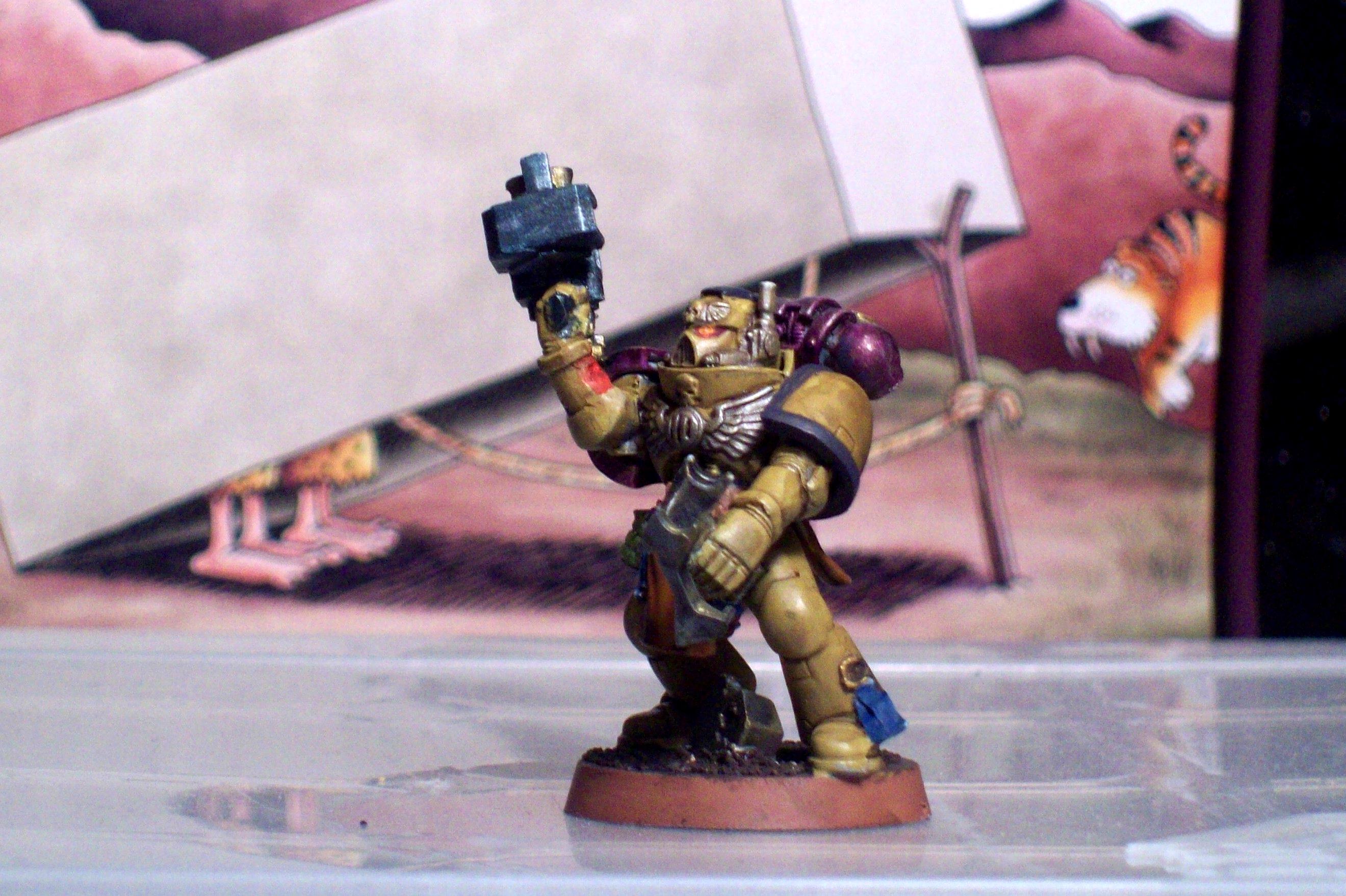 Nifty, Pain, Space Marines