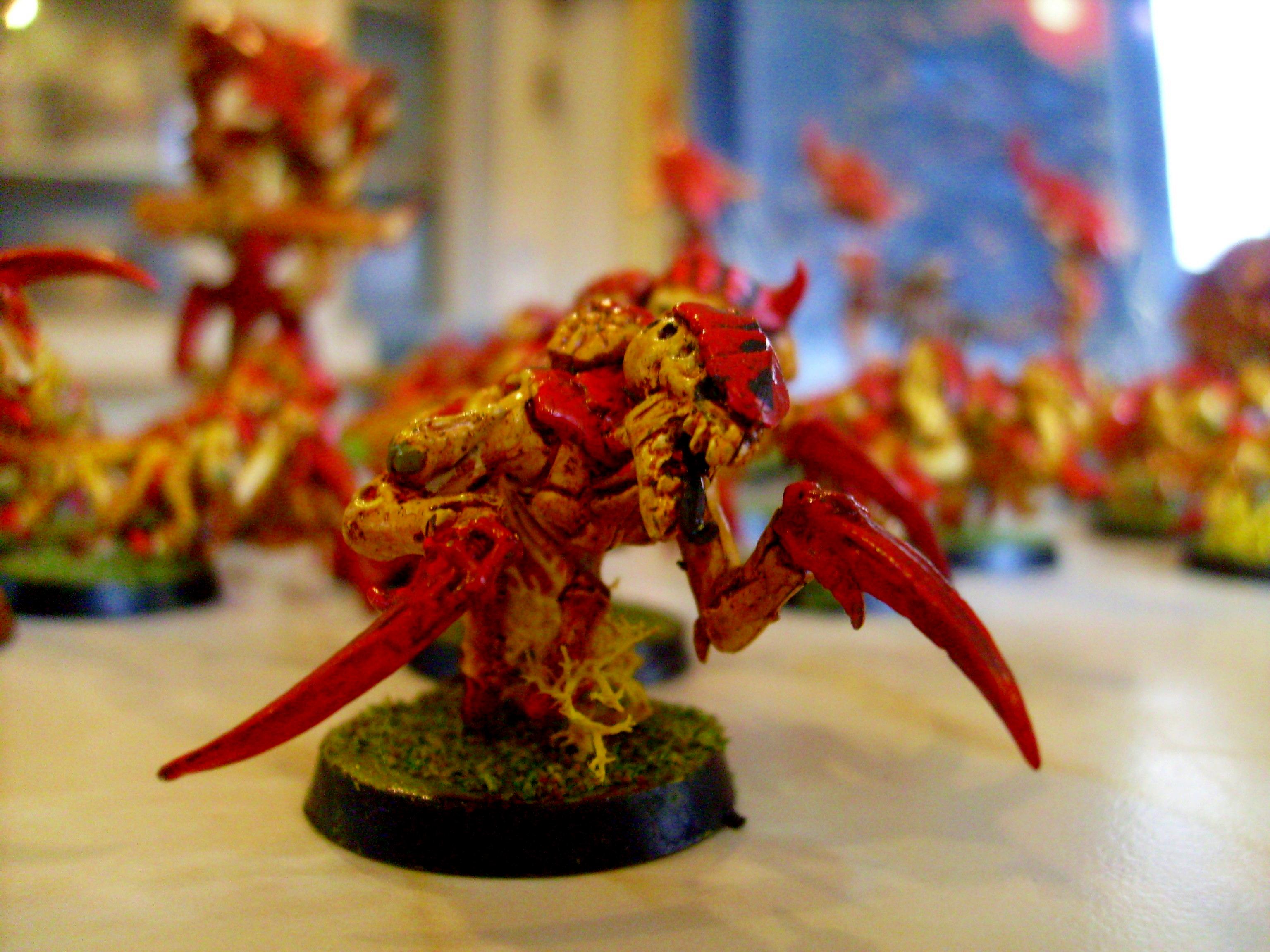 Conversion, Games Workshop, Goblins, Humor, Interesting, Orcs, Orks, Pro Painted, Scratch Build, Table Top, Tyranids, War, Warhammer 40,000, Warhammer Fantasy