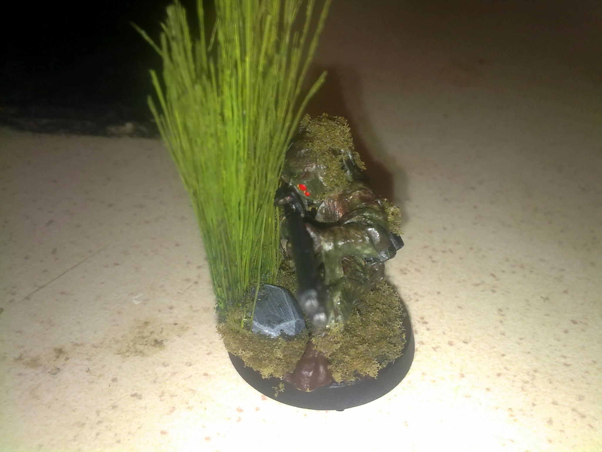 Camouflage, Tau