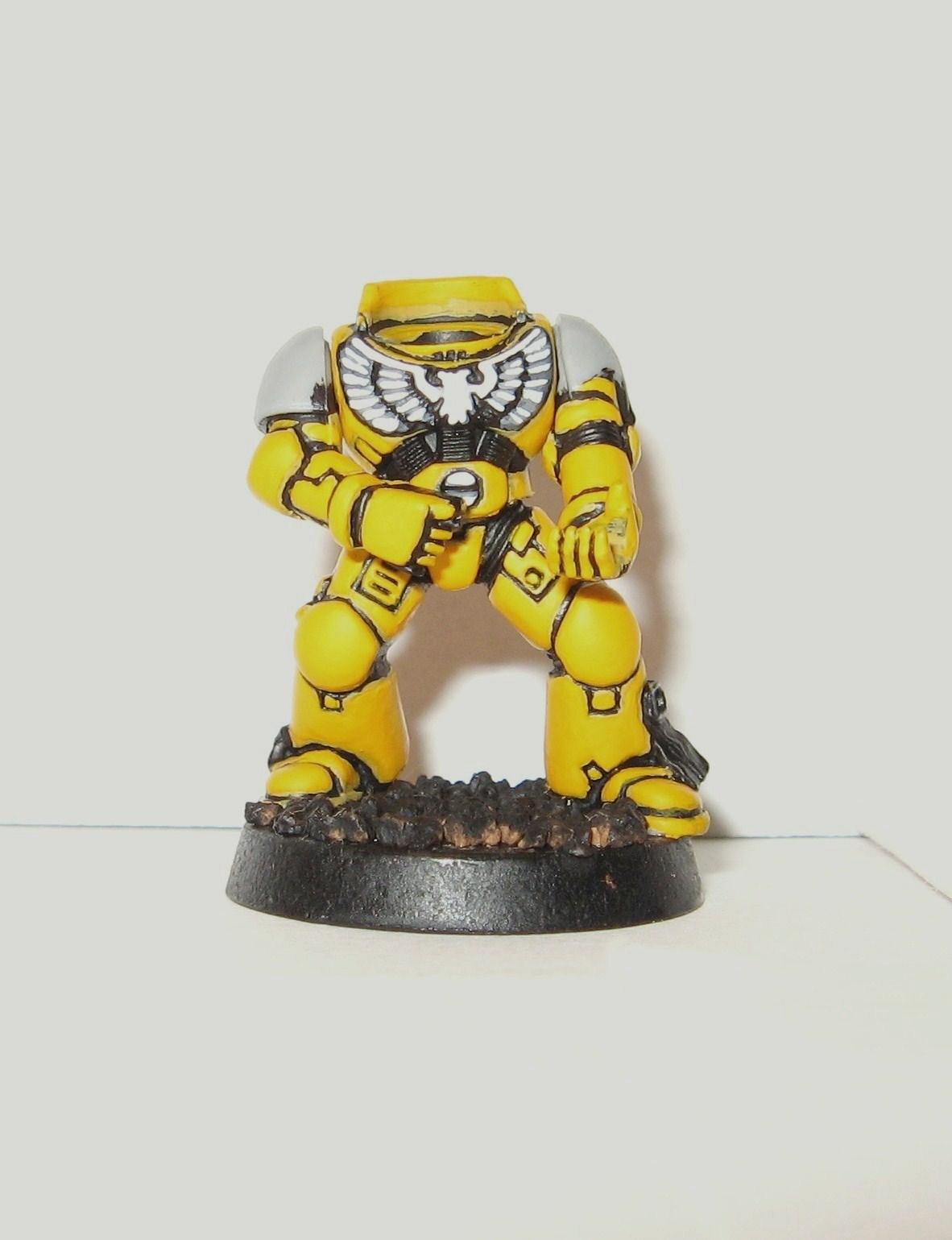 BG marine progress 1